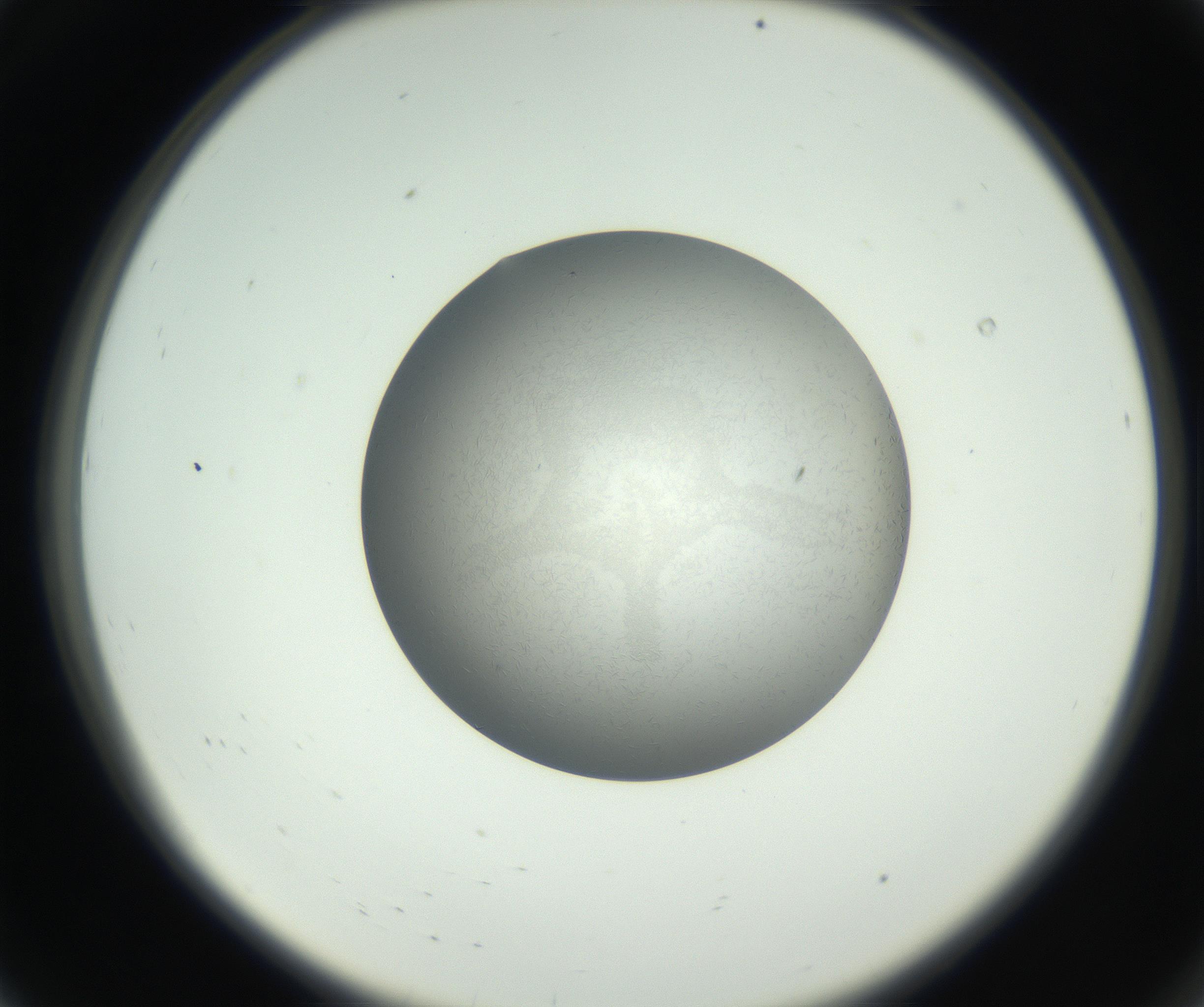 RI01_03_000_0212_Proj1_Clon1_MC_0000MC102717_002_160914_08_01_02_00_99_002_001_RAI.jpg