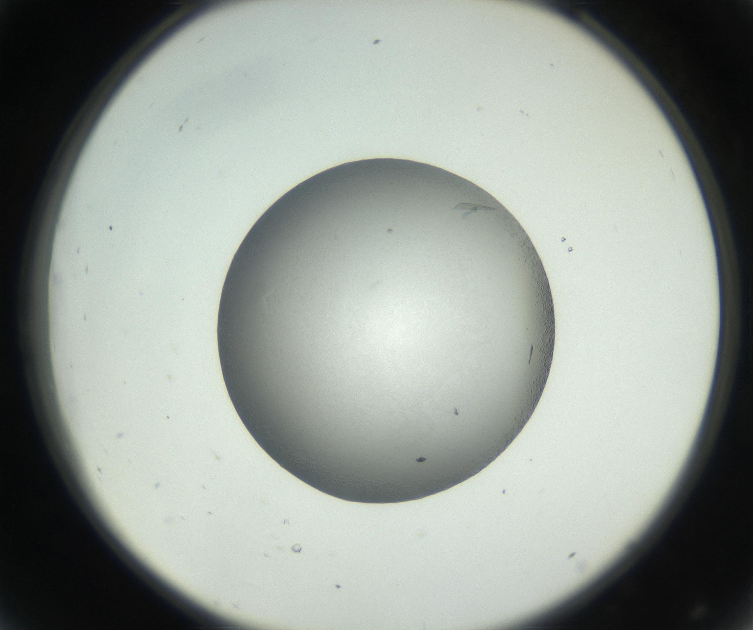 RI01_03_000_0212_Proj1_Clon1_MC_0000MC102717_002_160914_08_04_02_00_99_002_001_RAI.jpg