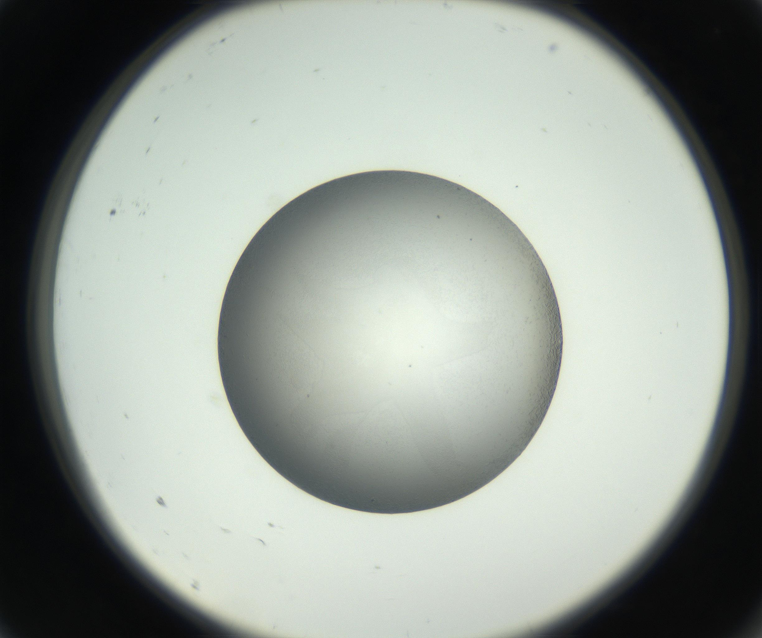RI01_03_000_0212_Proj1_Clon1_MC_0000MC102717_002_160914_09_01_02_00_99_002_001_RAI.jpg