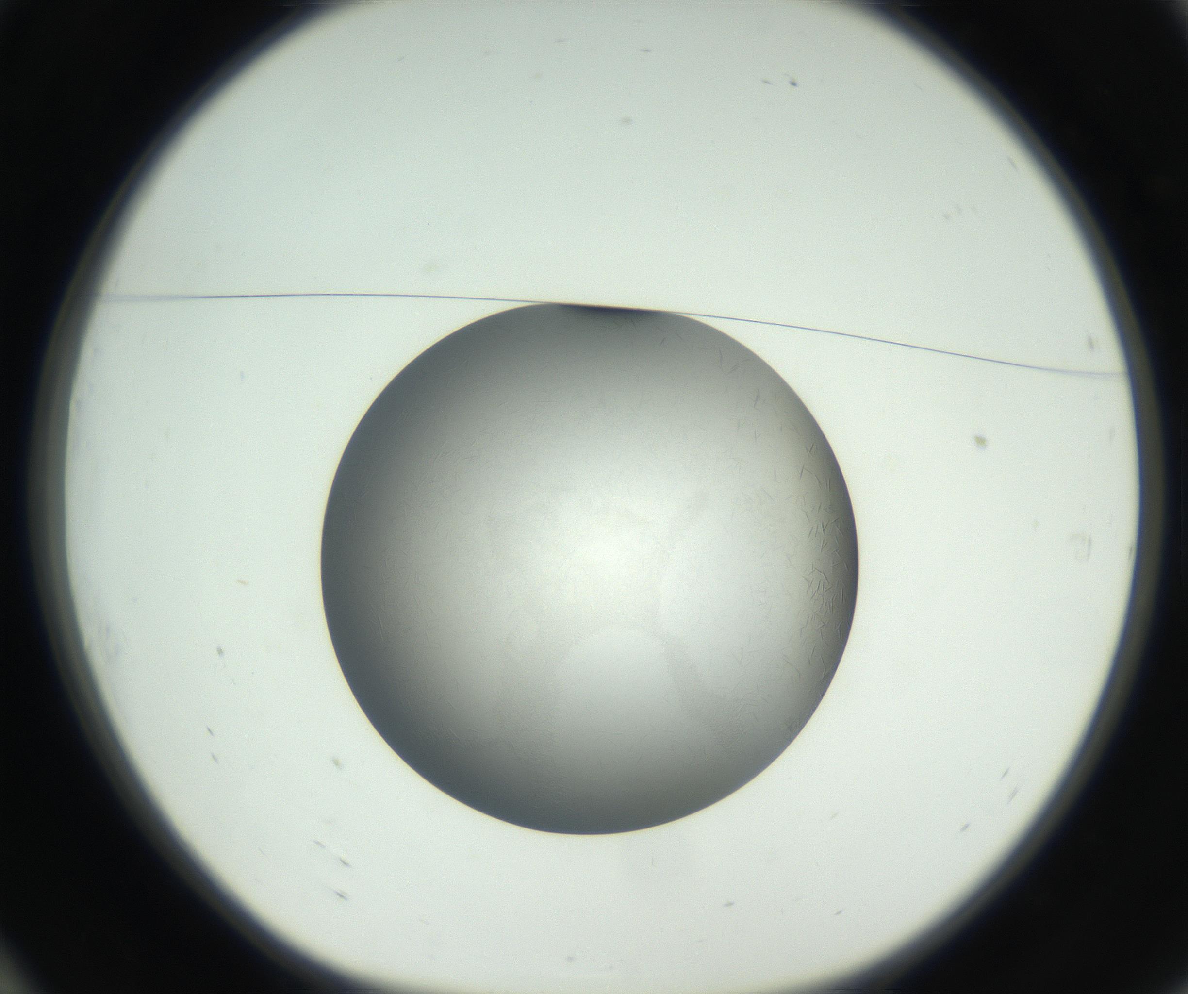 RI01_03_000_0212_Proj1_Clon1_MC_0000MC102717_002_160914_10_01_01_00_99_002_001_RAI.jpg