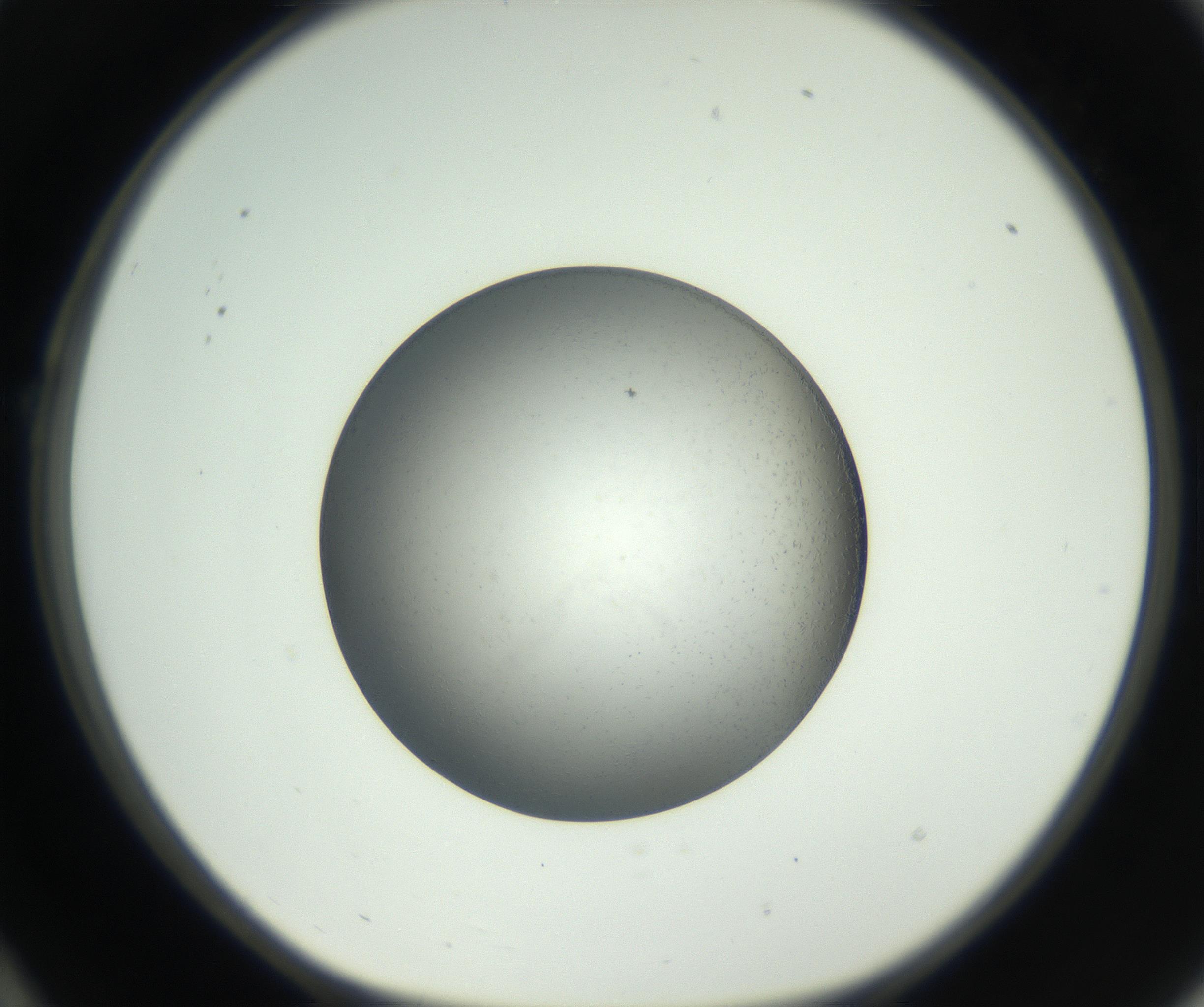 RI01_03_000_0212_Proj1_Clon1_MC_0000MC102717_002_160914_10_02_01_00_99_002_001_RAI.jpg