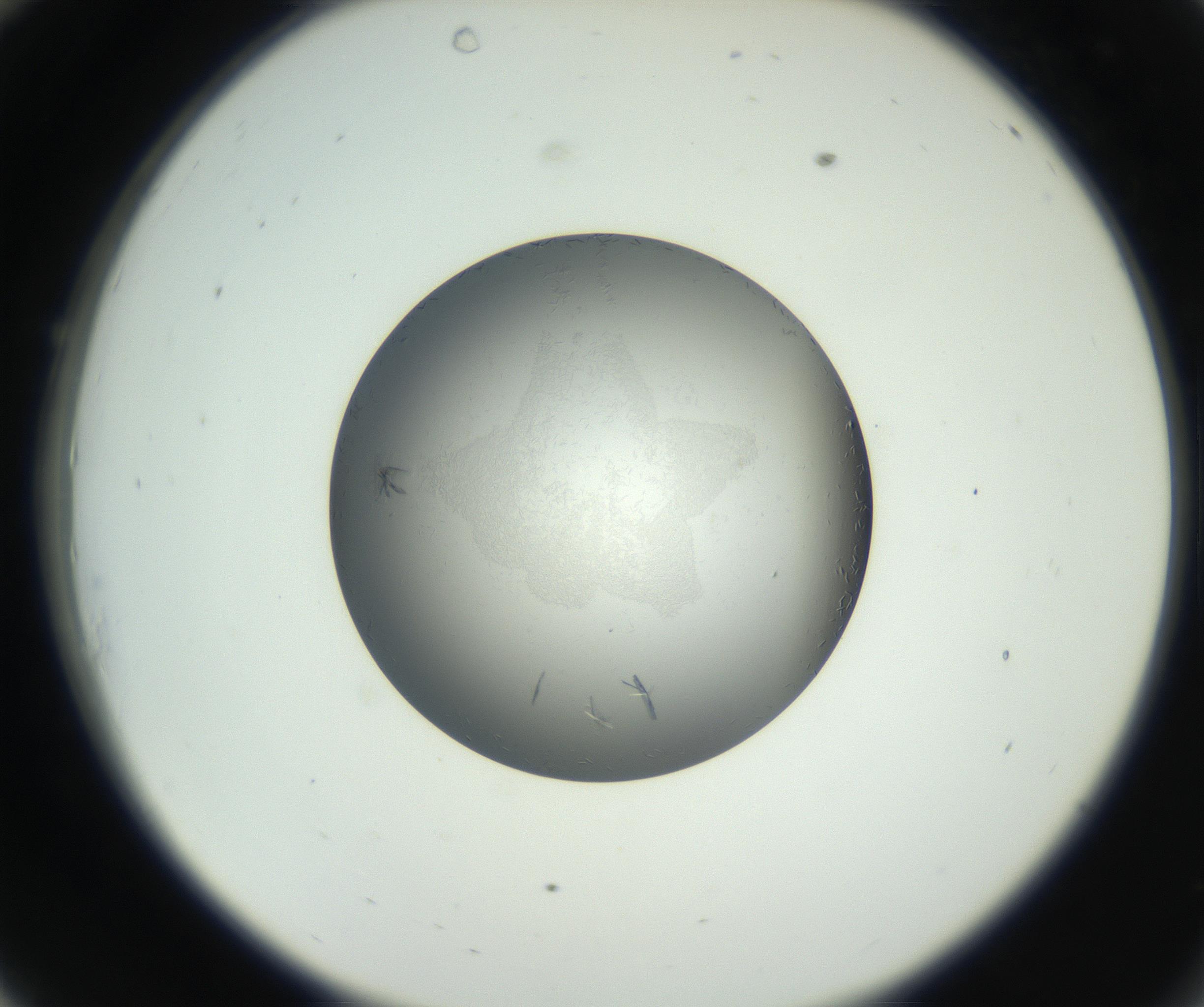 RI01_03_000_0212_Proj1_Clon1_MC_0000MC102717_002_160914_10_03_02_00_99_002_001_RAI.jpg