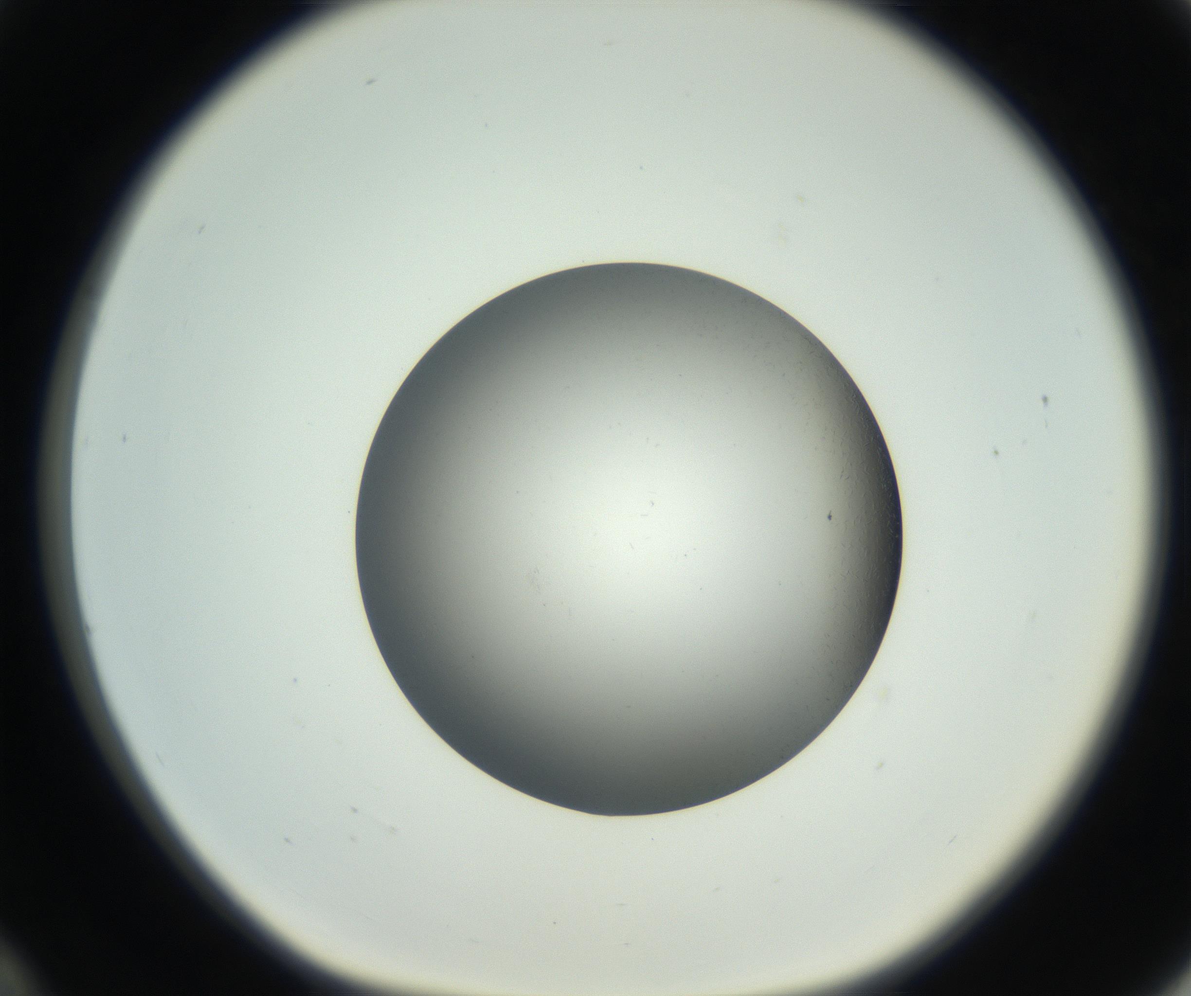 RI01_03_000_0212_Proj1_Clon1_MC_0000MC102717_002_160914_12_03_01_00_99_002_001_RAI.jpg