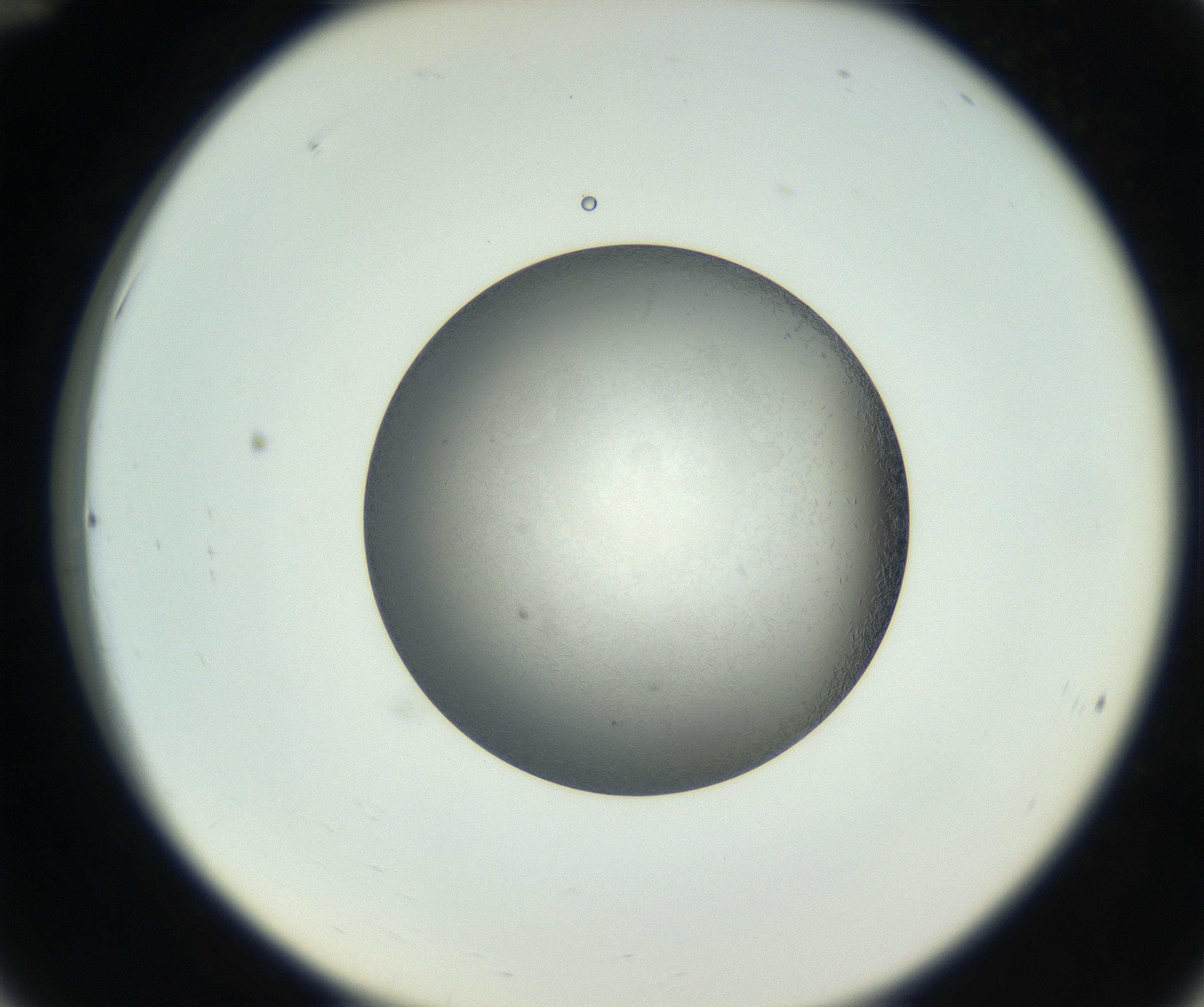 RI01_03_000_0212_Proj1_Clon1_MC_0000MC102717_002_160914_12_03_02_00_99_002_001_RAI.jpg