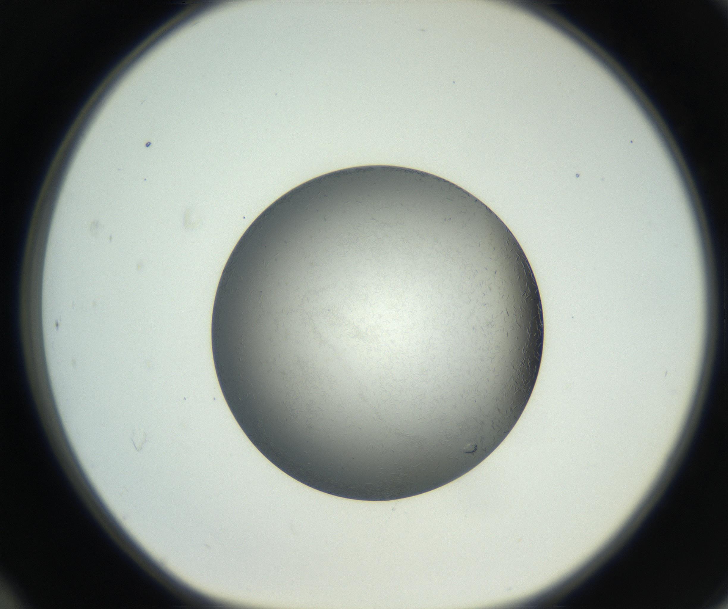 RI01_03_000_0212_Proj1_Clon1_MC_0000MC102717_002_160914_12_04_01_00_99_002_001_RAI.jpg