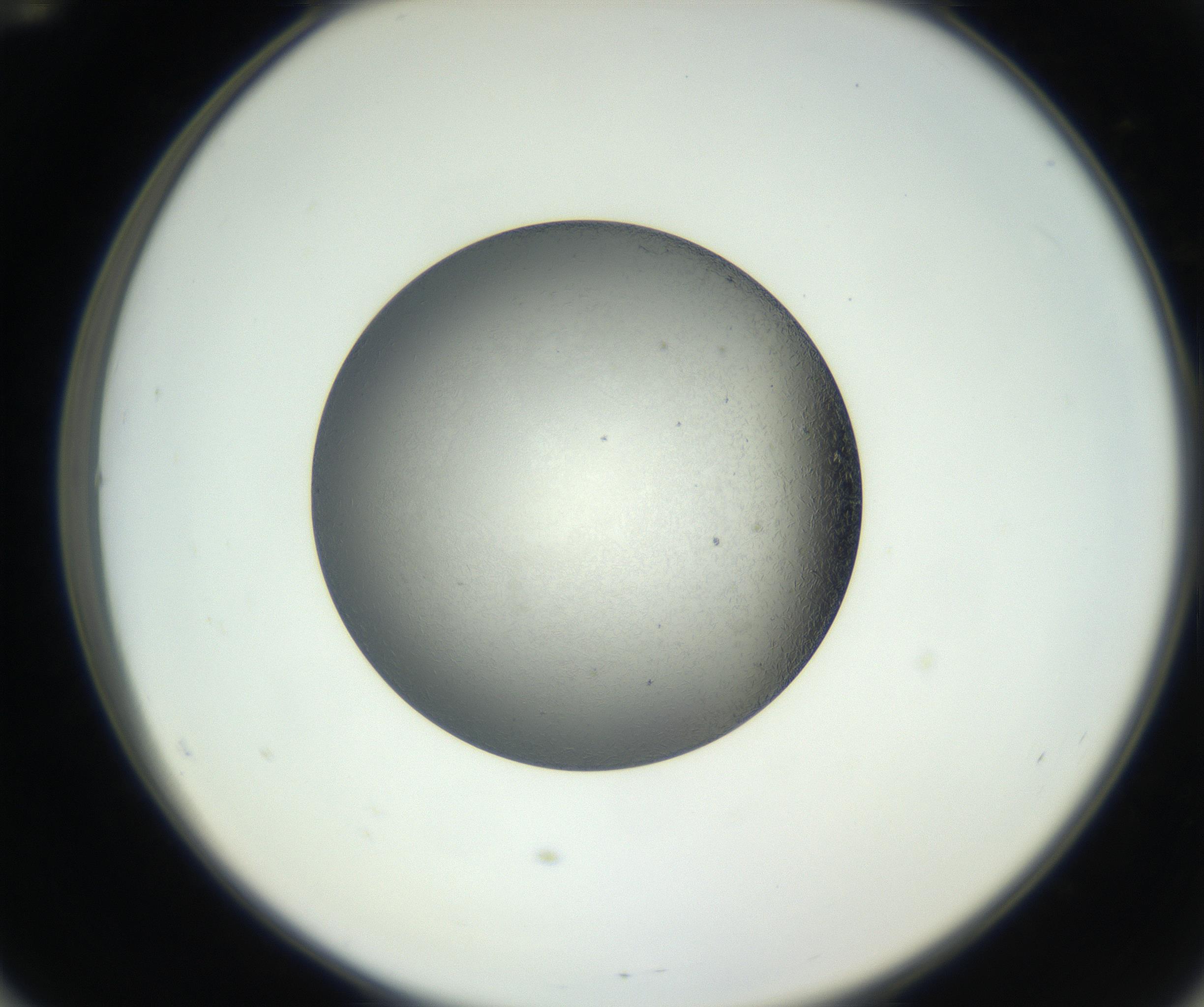 RI01_03_000_0212_Proj1_Clon1_MC_0000MC102717_002_160914_12_05_02_00_99_002_001_RAI.jpg