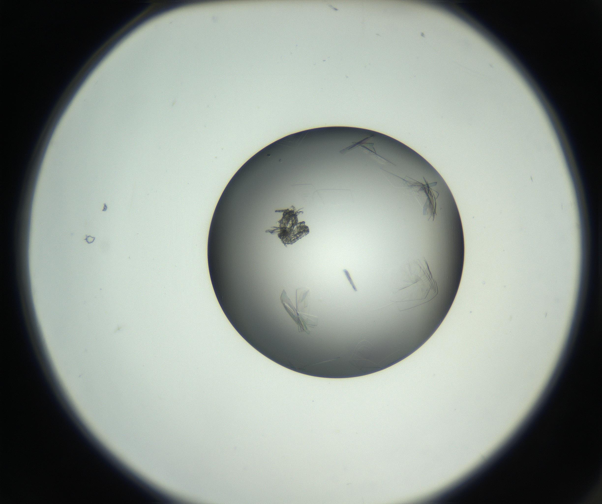 RI01_03_000_0212_Proj1_Clon1_MC_0000MC102717_003_160916_02_01_02_00_99_002_001_RAI.jpg