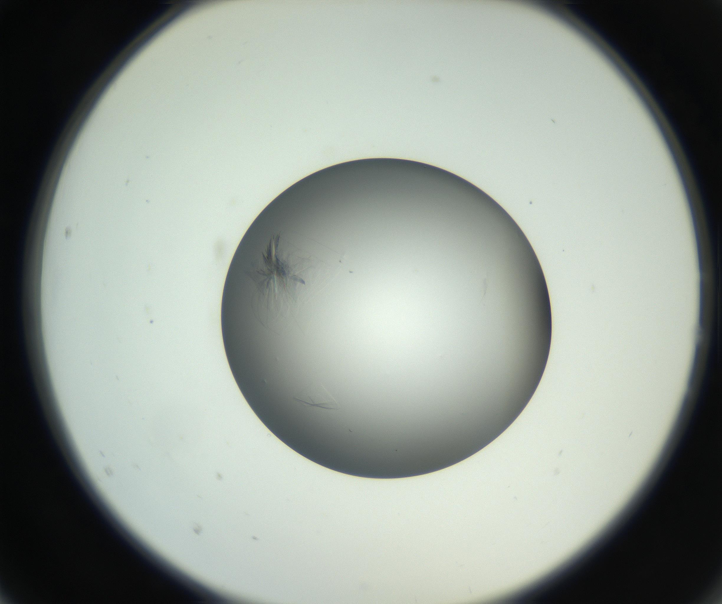 RI01_03_000_0212_Proj1_Clon1_MC_0000MC102717_003_160916_02_02_02_00_99_002_001_RAI.jpg