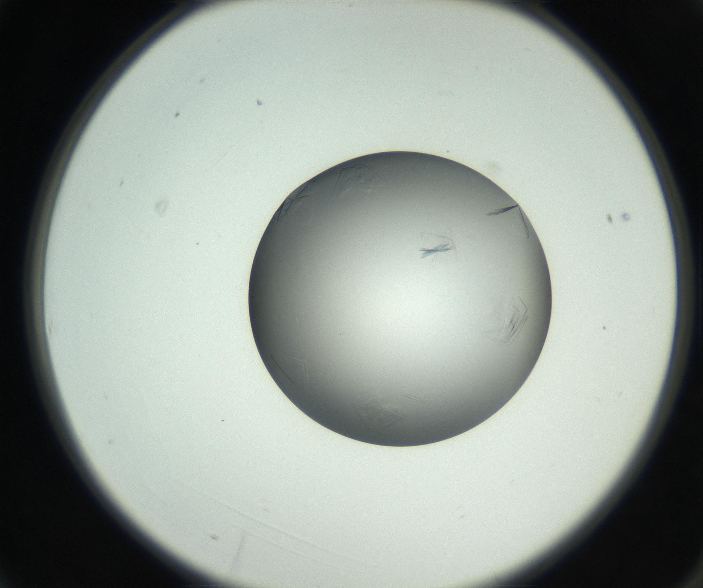 RI01_03_000_0212_Proj1_Clon1_MC_0000MC102717_003_160916_03_01_02_00_99_002_001_RAI.jpg