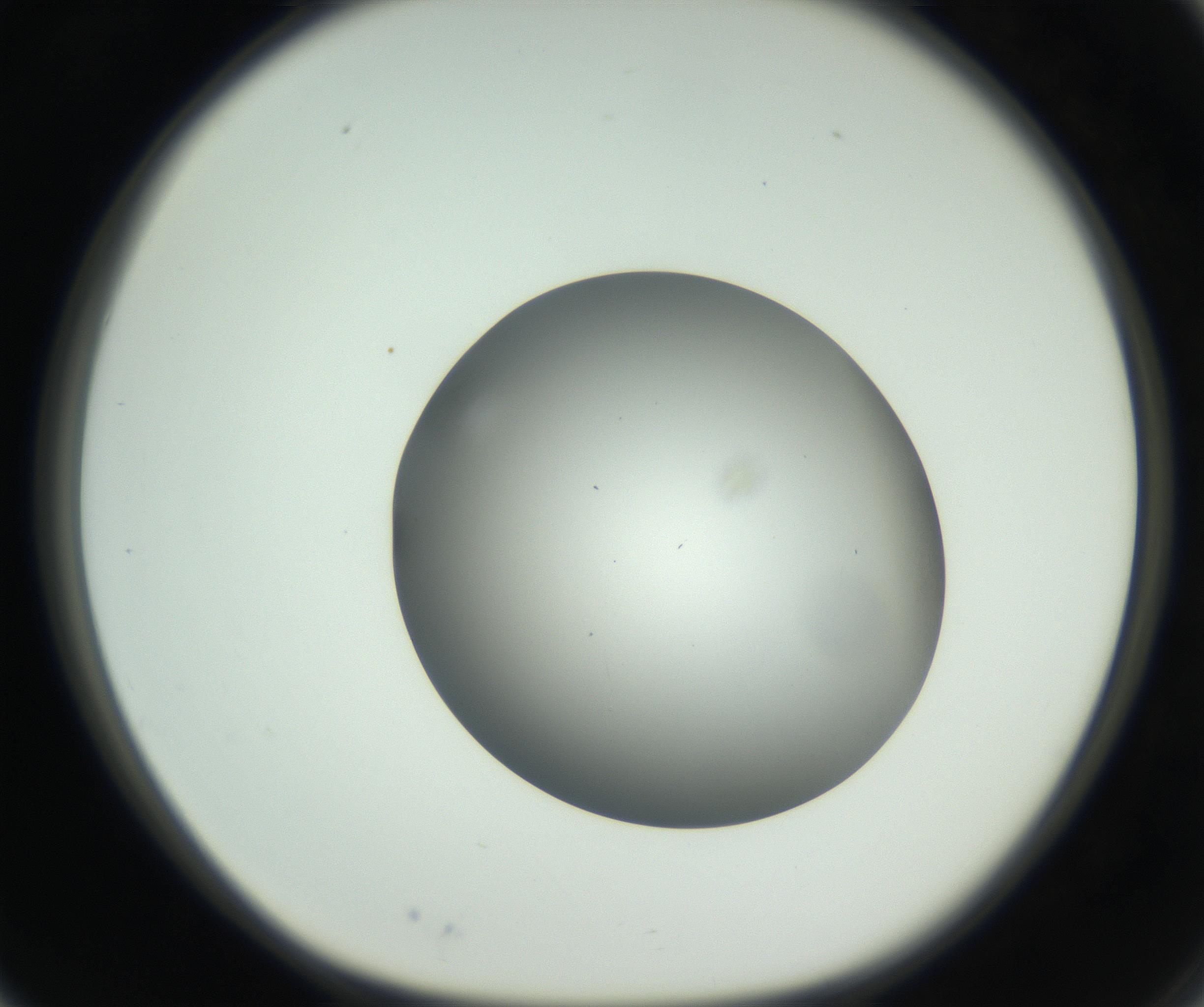 RI01_03_000_0212_Proj1_Clon1_MC_0000MC102717_003_160916_03_02_01_00_99_002_001_RAI.jpg