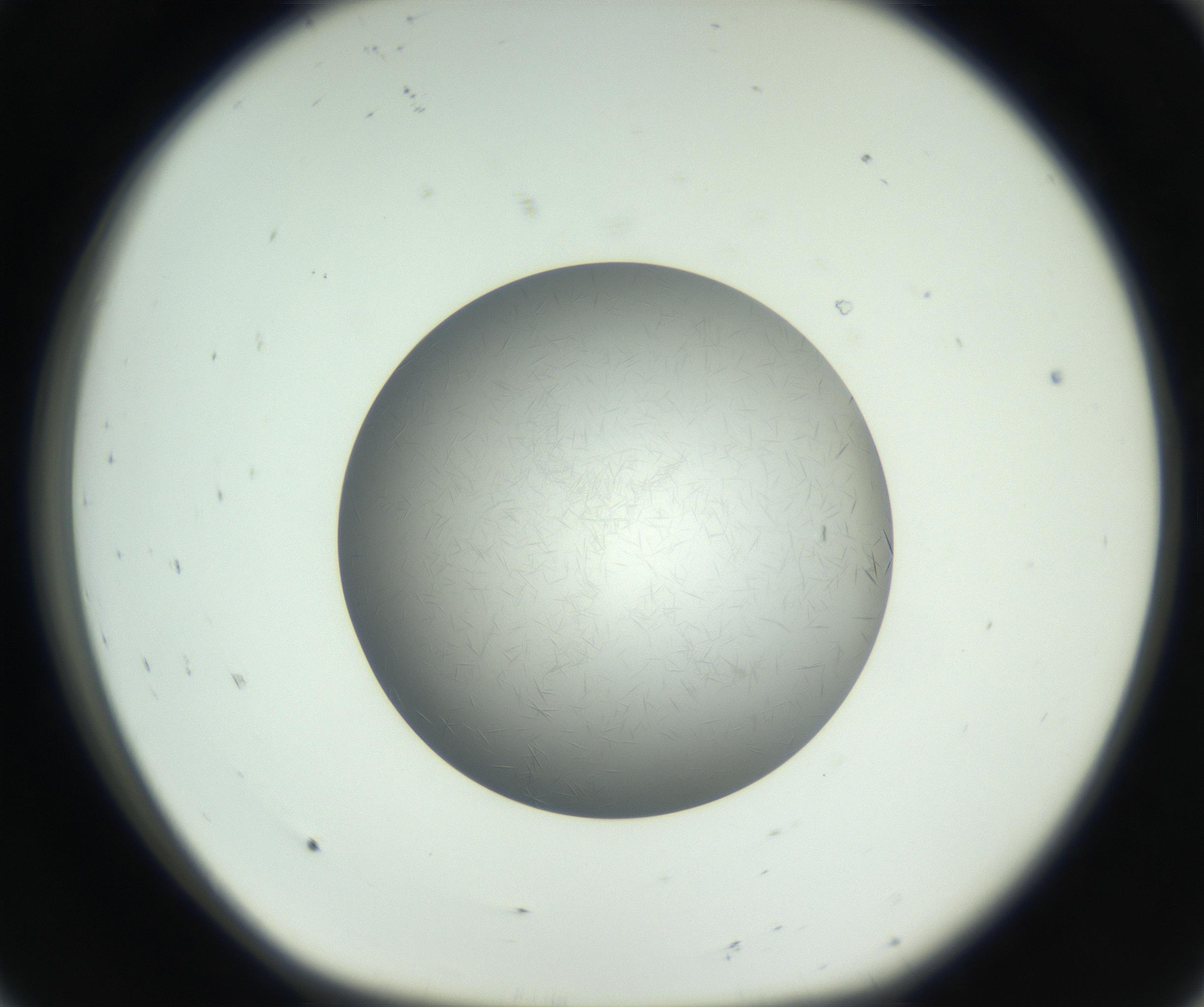 RI01_03_000_0212_Proj1_Clon1_MC_0000MC102717_003_160916_08_01_01_00_99_002_001_RAI.jpg