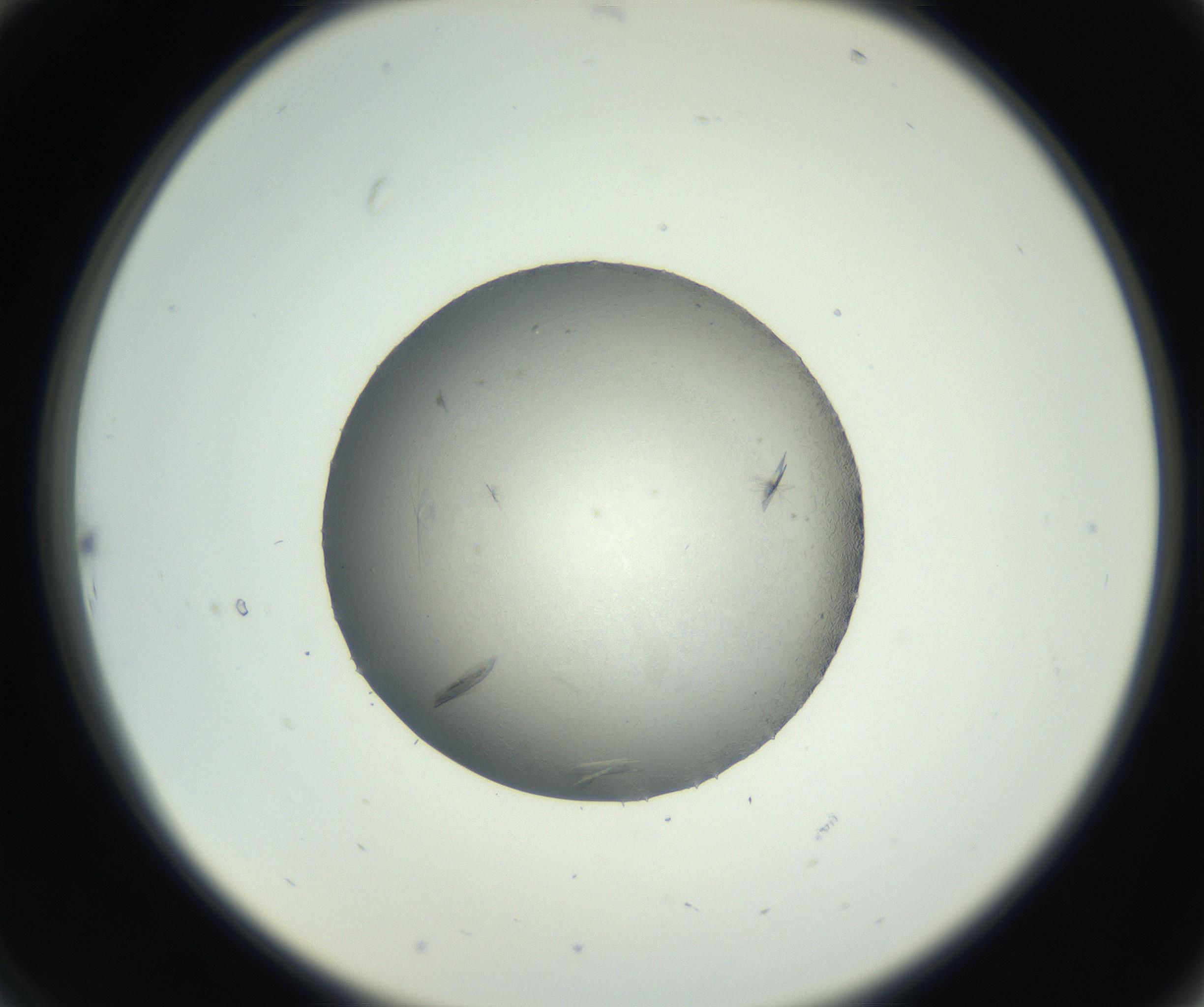 RI01_03_000_0212_Proj1_Clon1_MC_0000MC102717_003_160916_10_02_02_00_99_002_001_RAI.jpg