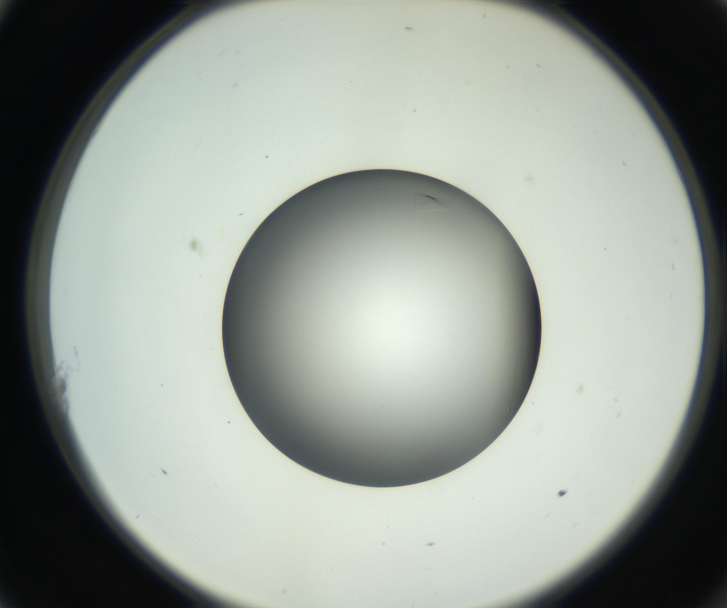 RI01_03_000_0212_Proj1_Clon1_MC_0000MC102717_003_160916_11_01_02_00_99_002_001_RAI.jpg