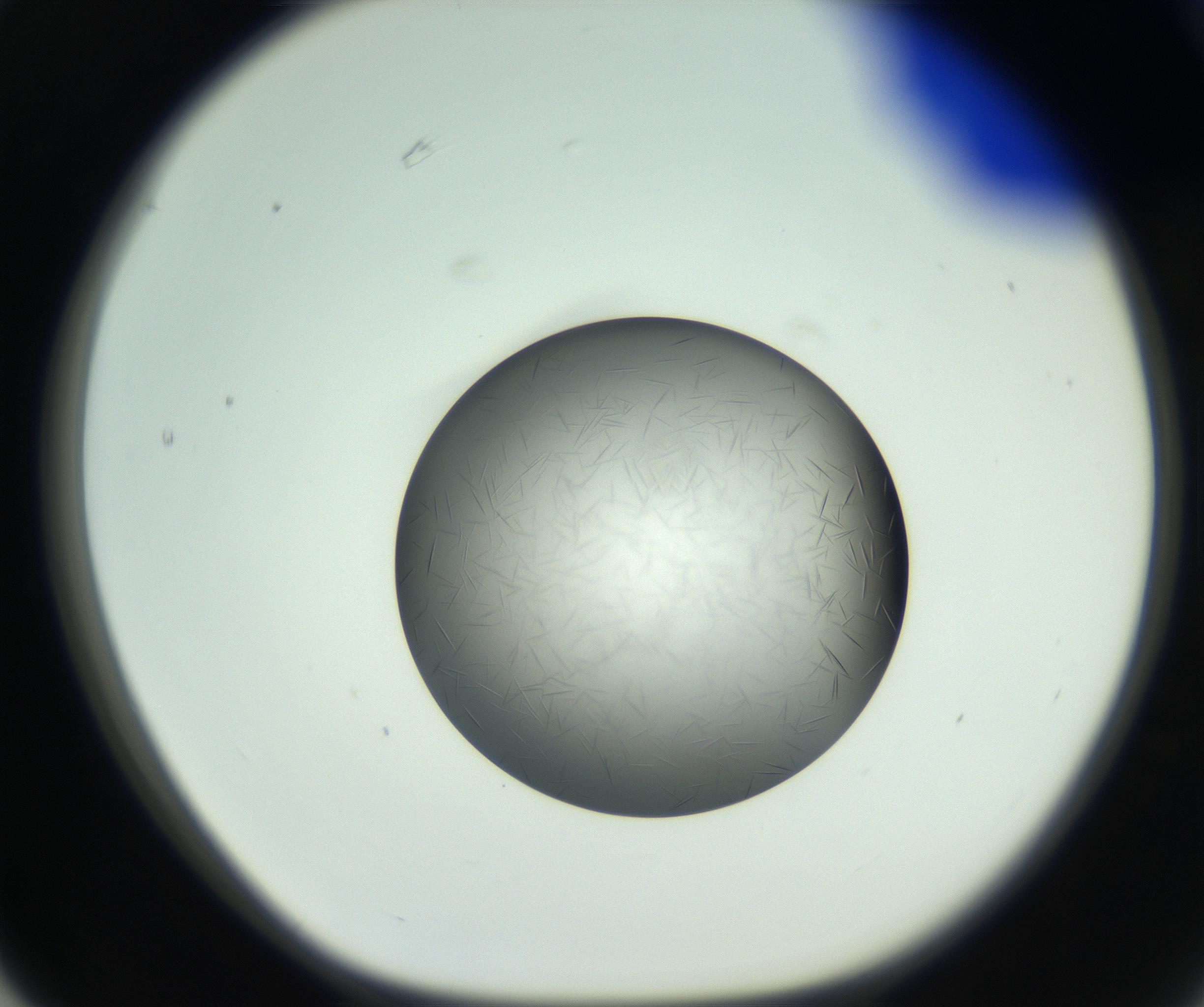 RI01_03_000_0212_Proj1_Clon1_MC_0000MC102717_006_161004_03_06_01_00_99_002_001_RAI.jpg