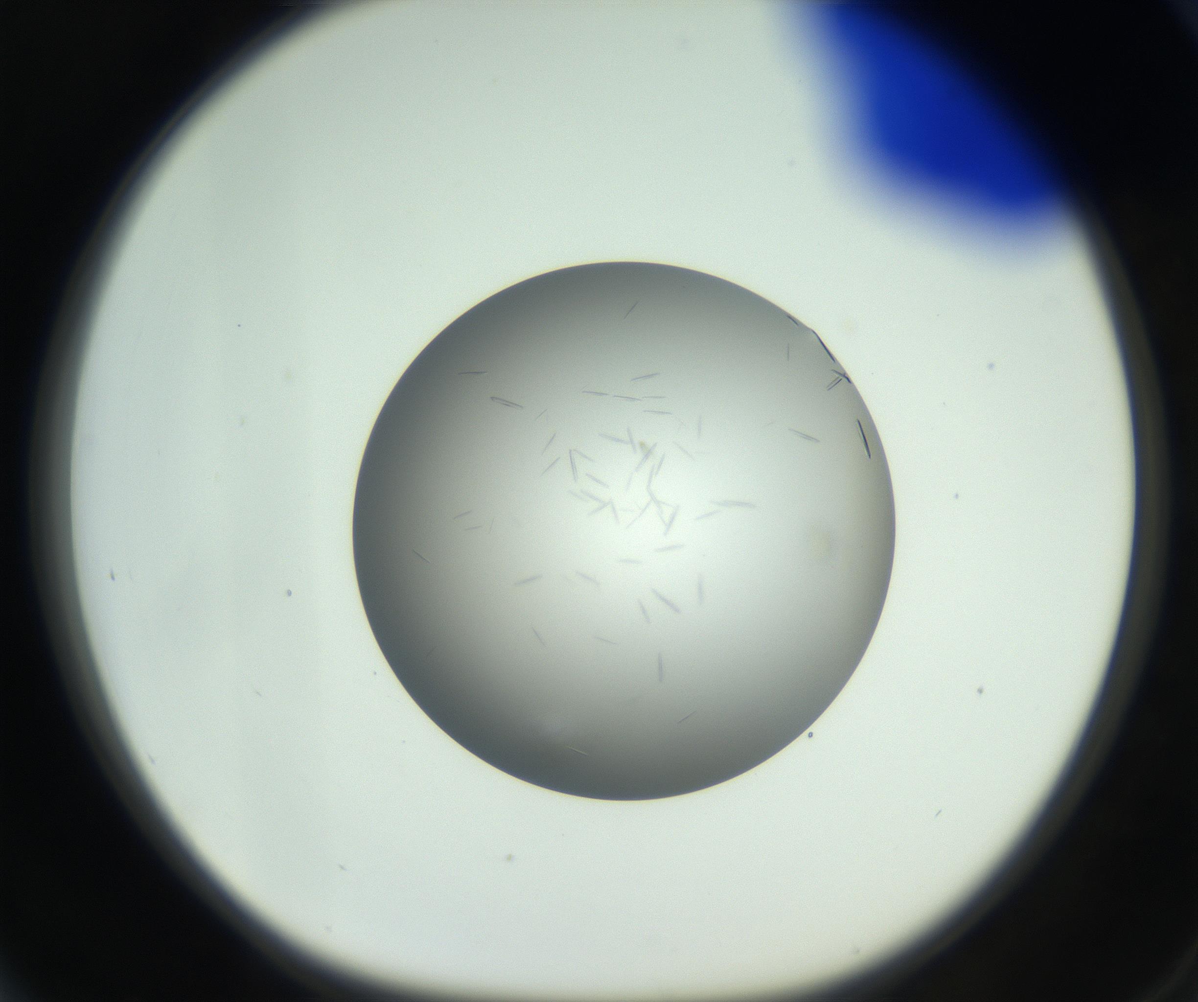 RI01_03_000_0212_Proj1_Clon1_MC_0000MC102717_006_161004_04_06_01_00_99_002_001_RAI.jpg