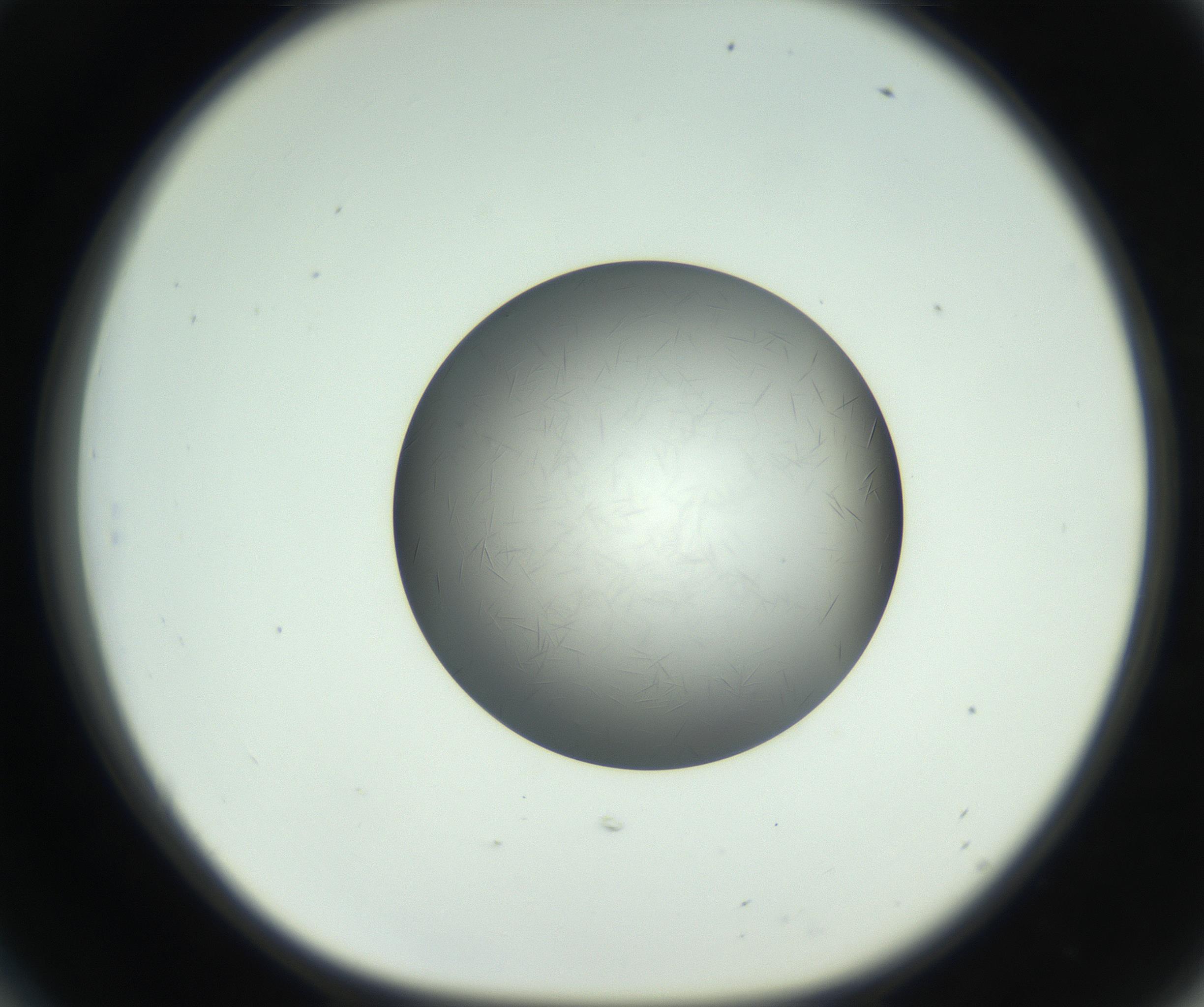 RI01_03_000_0212_Proj1_Clon1_MC_0000MC102717_006_161004_06_05_01_00_99_002_001_RAI.jpg
