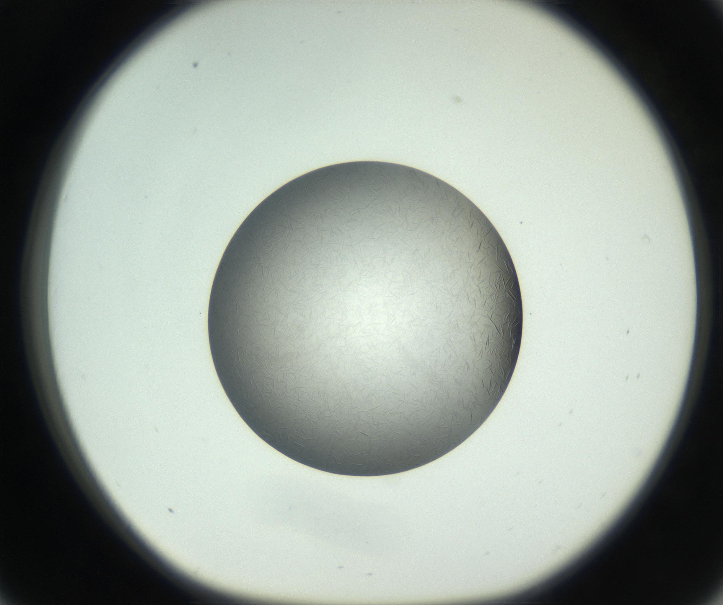 RI01_03_000_0212_Proj1_Clon1_MC_0000MC102717_006_161004_09_03_01_00_99_002_001_RAI.jpg