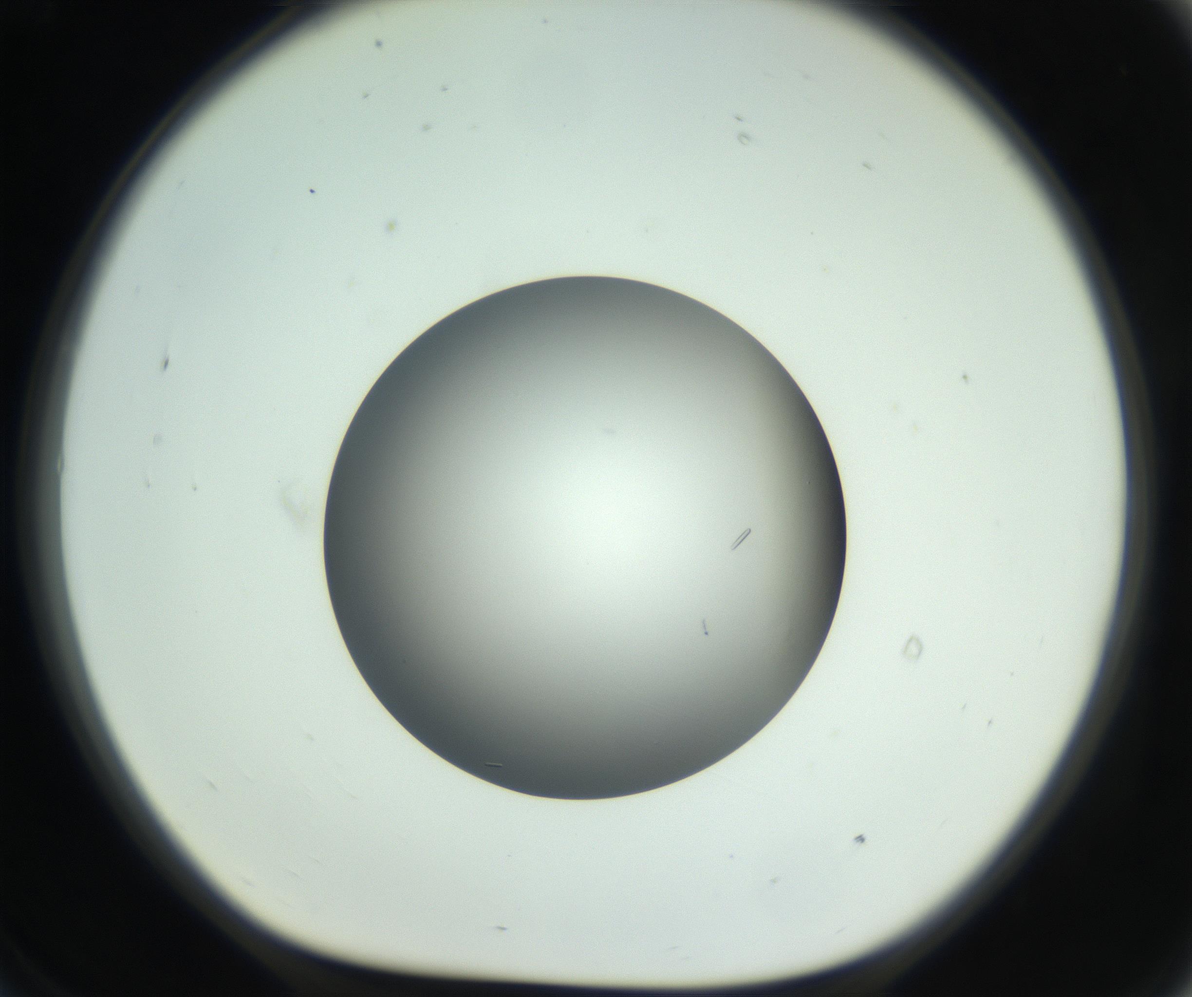 RI01_03_000_0212_Proj1_Clon1_MC_0000MC102717_006_161004_09_07_01_00_99_002_001_RAI.jpg