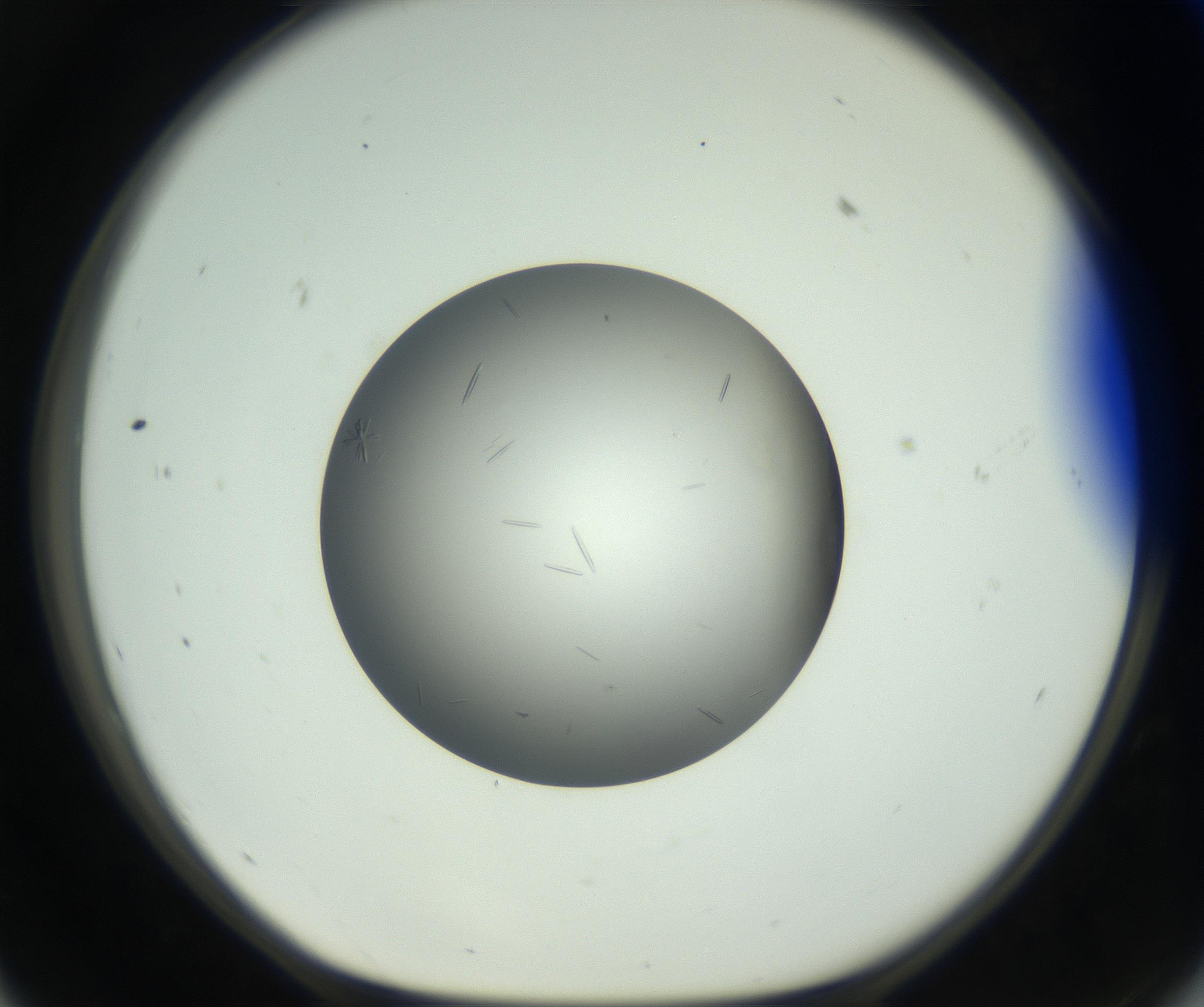RI01_03_000_0212_Proj1_Clon1_MC_0000MC102717_006_161004_11_05_01_00_99_002_001_RAI.jpg