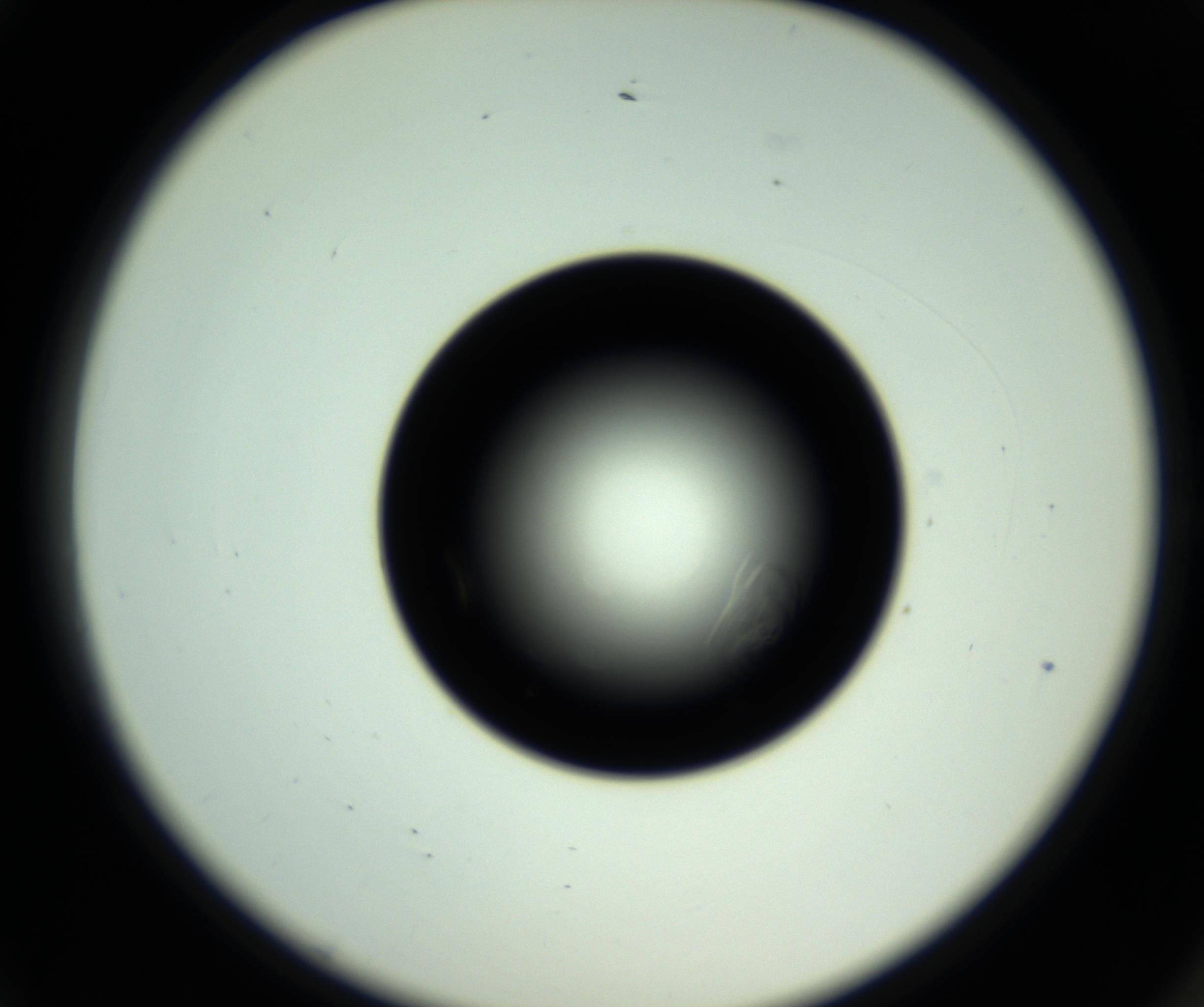 RI01_03_000_0212_Proj1_Clon1_MC_0000MC102717_007_161011_01_01_02_00_98_002_001_RAI.jpg