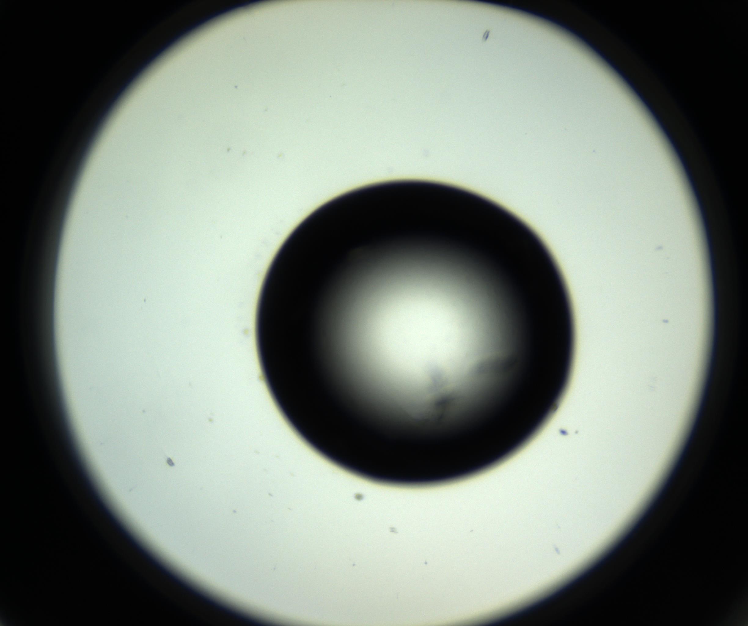 RI01_03_000_0212_Proj1_Clon1_MC_0000MC102717_007_161011_01_02_02_00_98_002_001_RAI.jpg