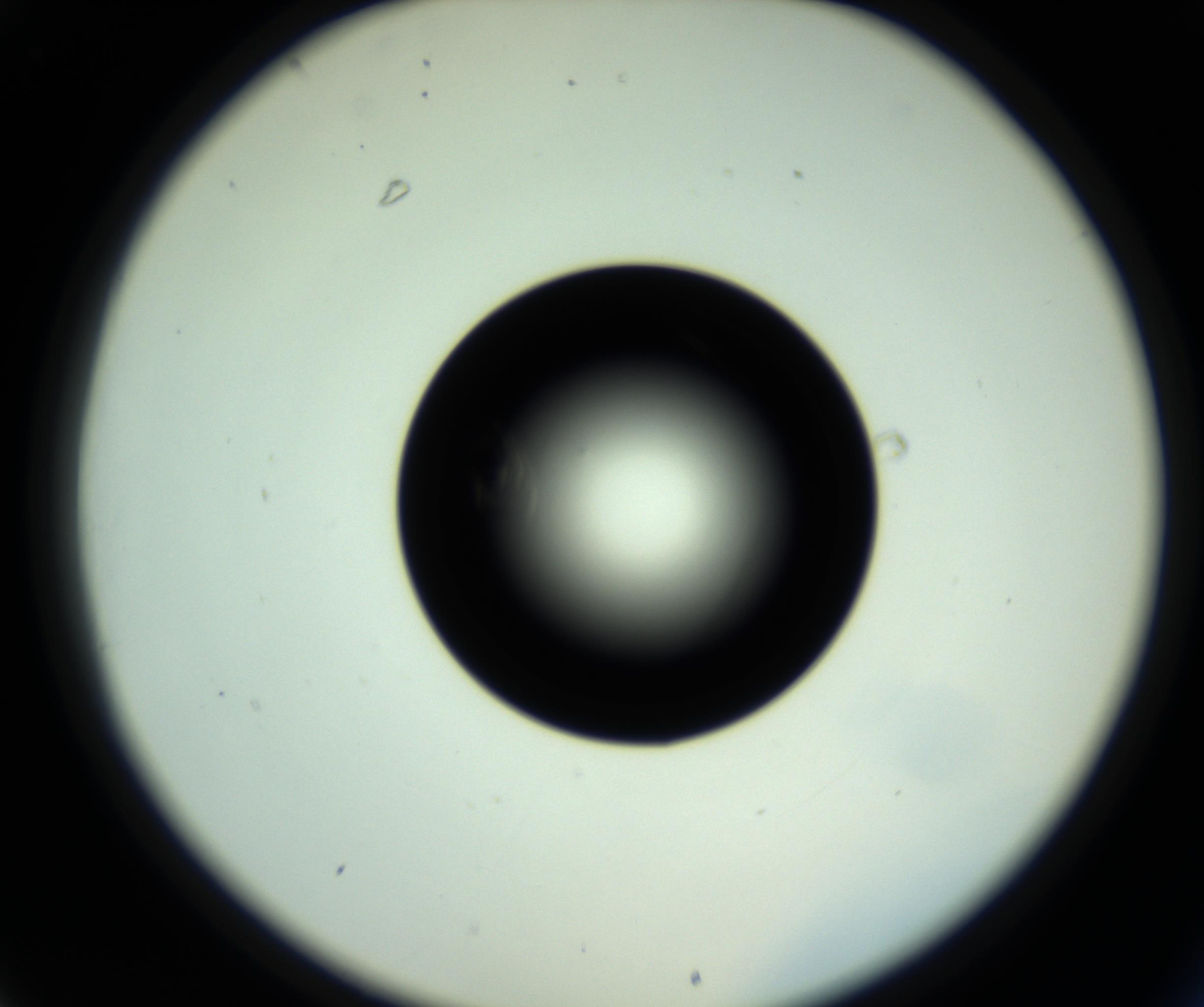RI01_03_000_0212_Proj1_Clon1_MC_0000MC102717_007_161011_01_03_02_00_98_002_001_RAI.jpg