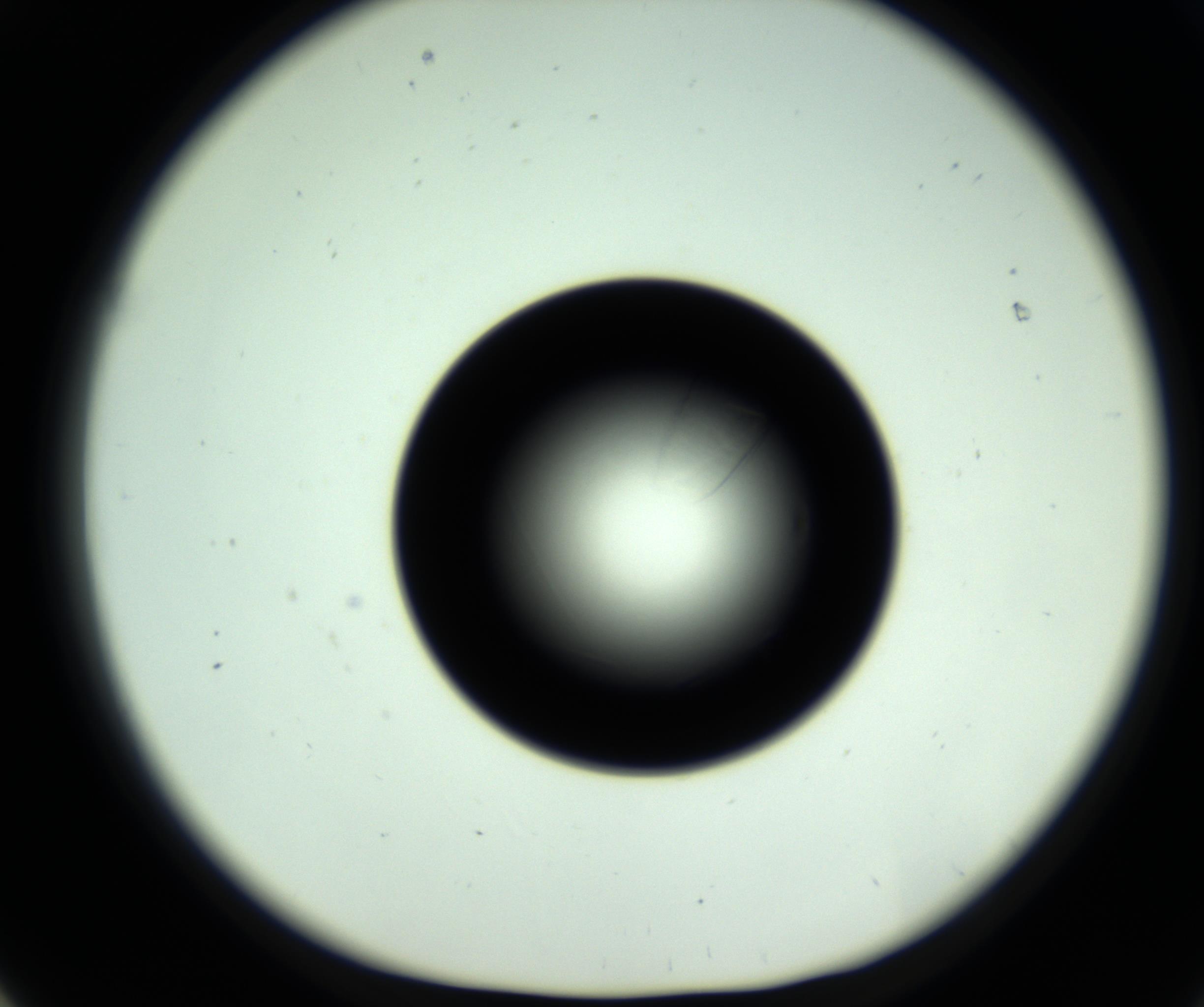 RI01_03_000_0212_Proj1_Clon1_MC_0000MC102717_007_161011_01_06_01_00_98_002_001_RAI.jpg