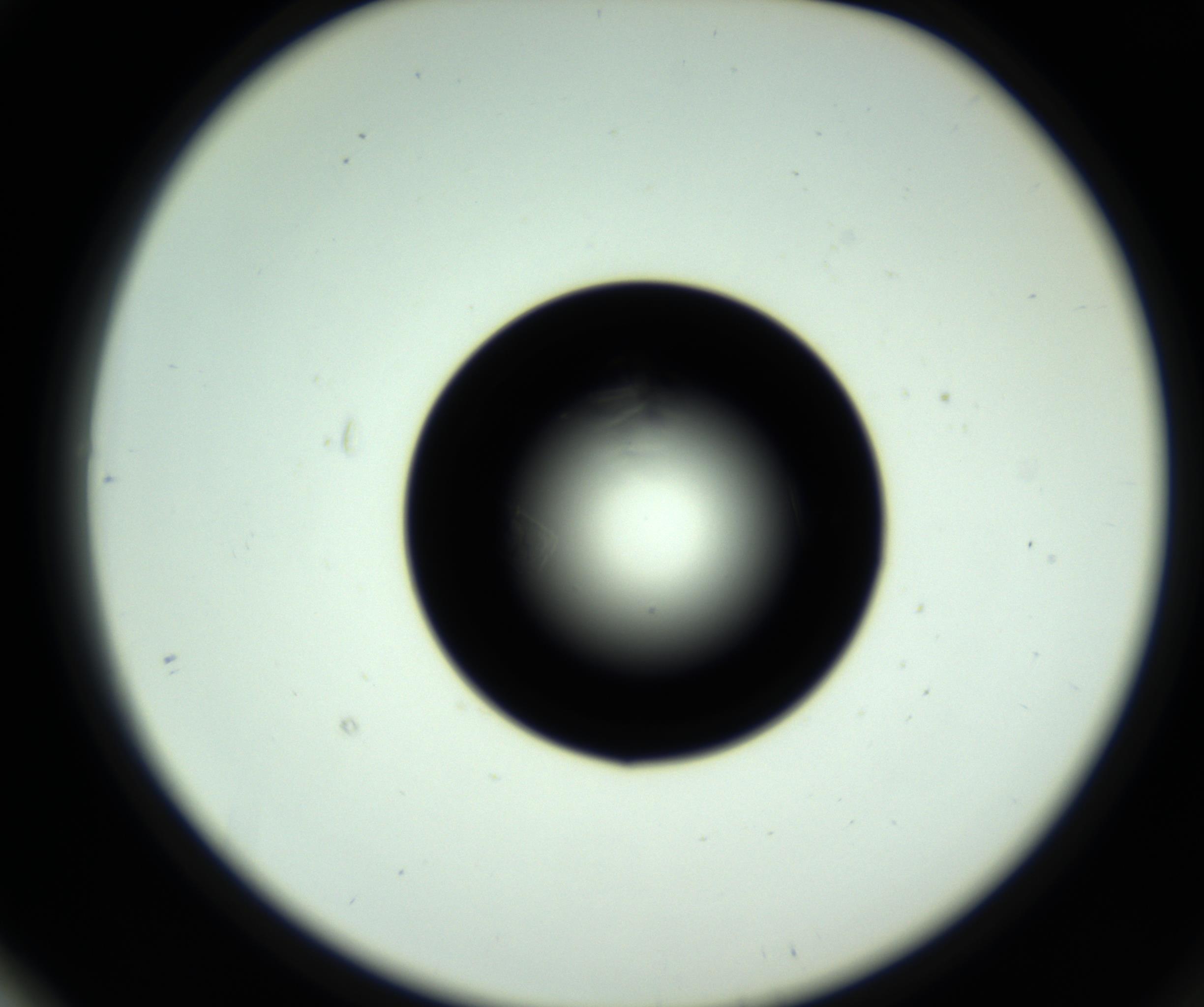 RI01_03_000_0212_Proj1_Clon1_MC_0000MC102717_007_161011_01_06_02_00_98_002_001_RAI.jpg