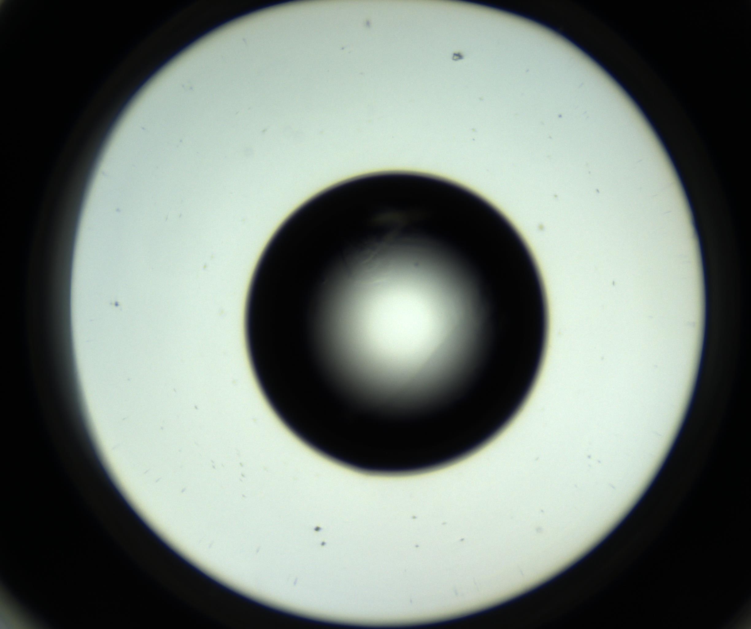 RI01_03_000_0212_Proj1_Clon1_MC_0000MC102717_007_161011_01_07_02_00_98_002_001_RAI.jpg