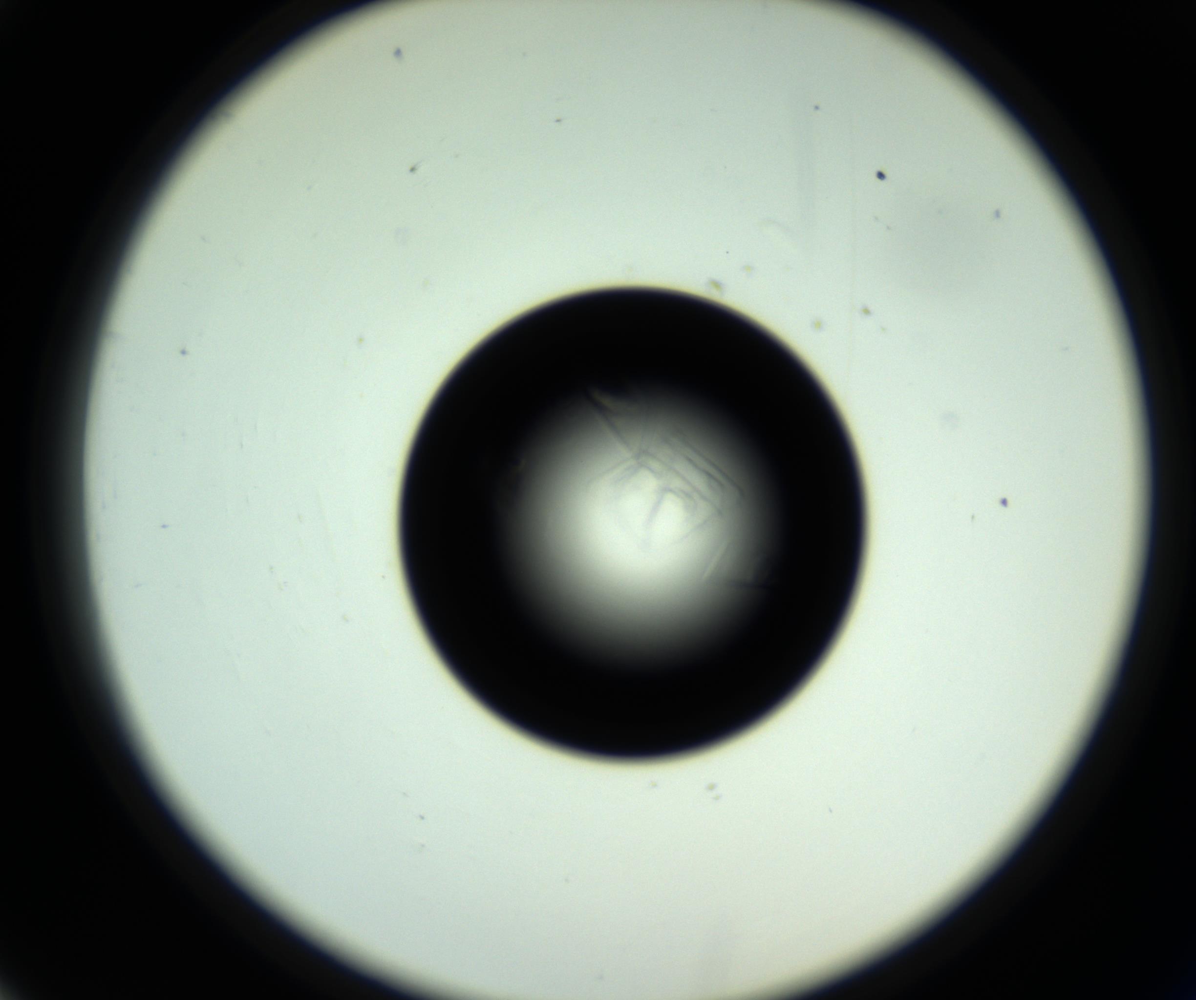RI01_03_000_0212_Proj1_Clon1_MC_0000MC102717_007_161011_02_03_02_00_98_002_001_RAI.jpg