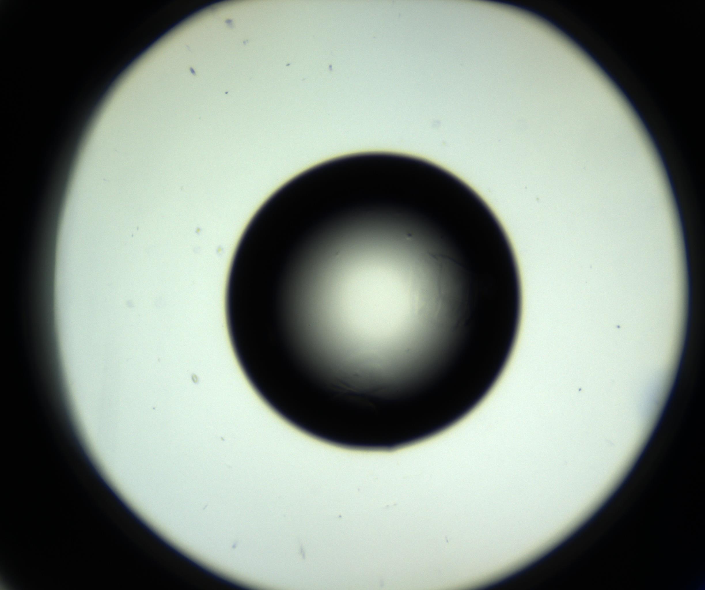 RI01_03_000_0212_Proj1_Clon1_MC_0000MC102717_007_161011_02_04_02_00_98_002_001_RAI.jpg