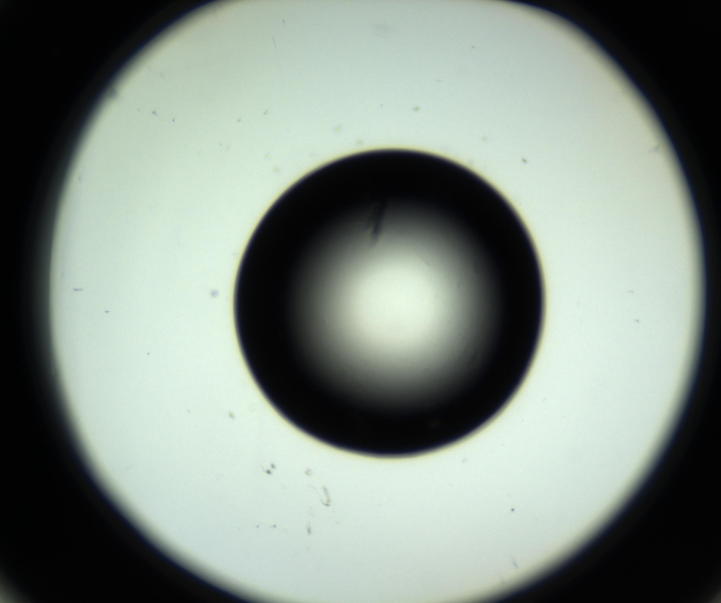 RI01_03_000_0212_Proj1_Clon1_MC_0000MC102717_007_161011_02_05_02_00_98_002_001_RAI.jpg