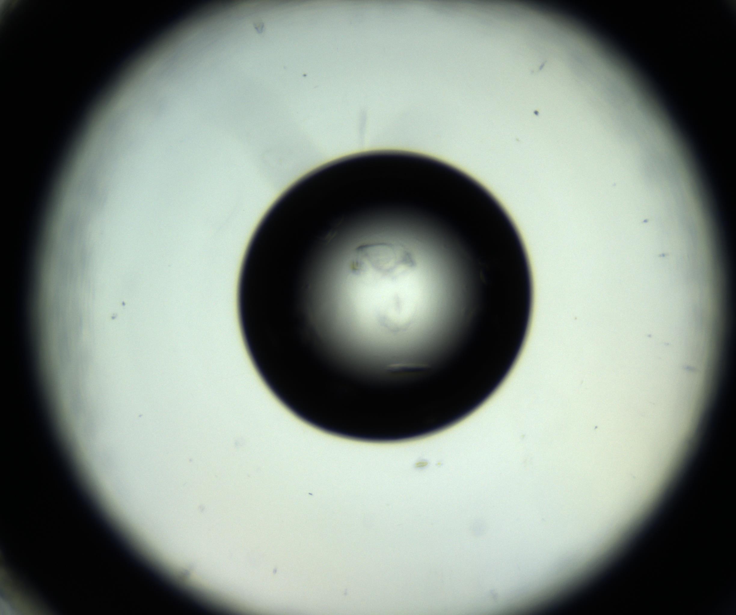 RI01_03_000_0212_Proj1_Clon1_MC_0000MC102717_007_161011_02_08_02_00_98_002_001_RAI.jpg