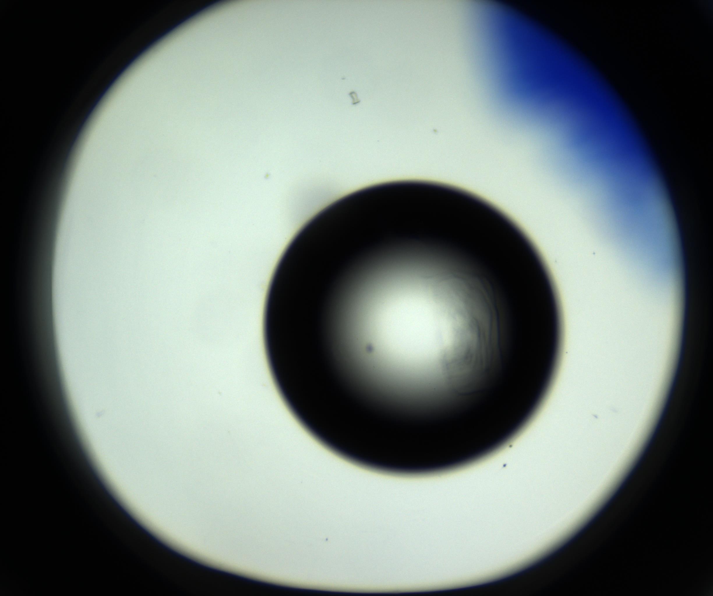 RI01_03_000_0212_Proj1_Clon1_MC_0000MC102717_007_161011_03_03_01_00_98_002_001_RAI.jpg
