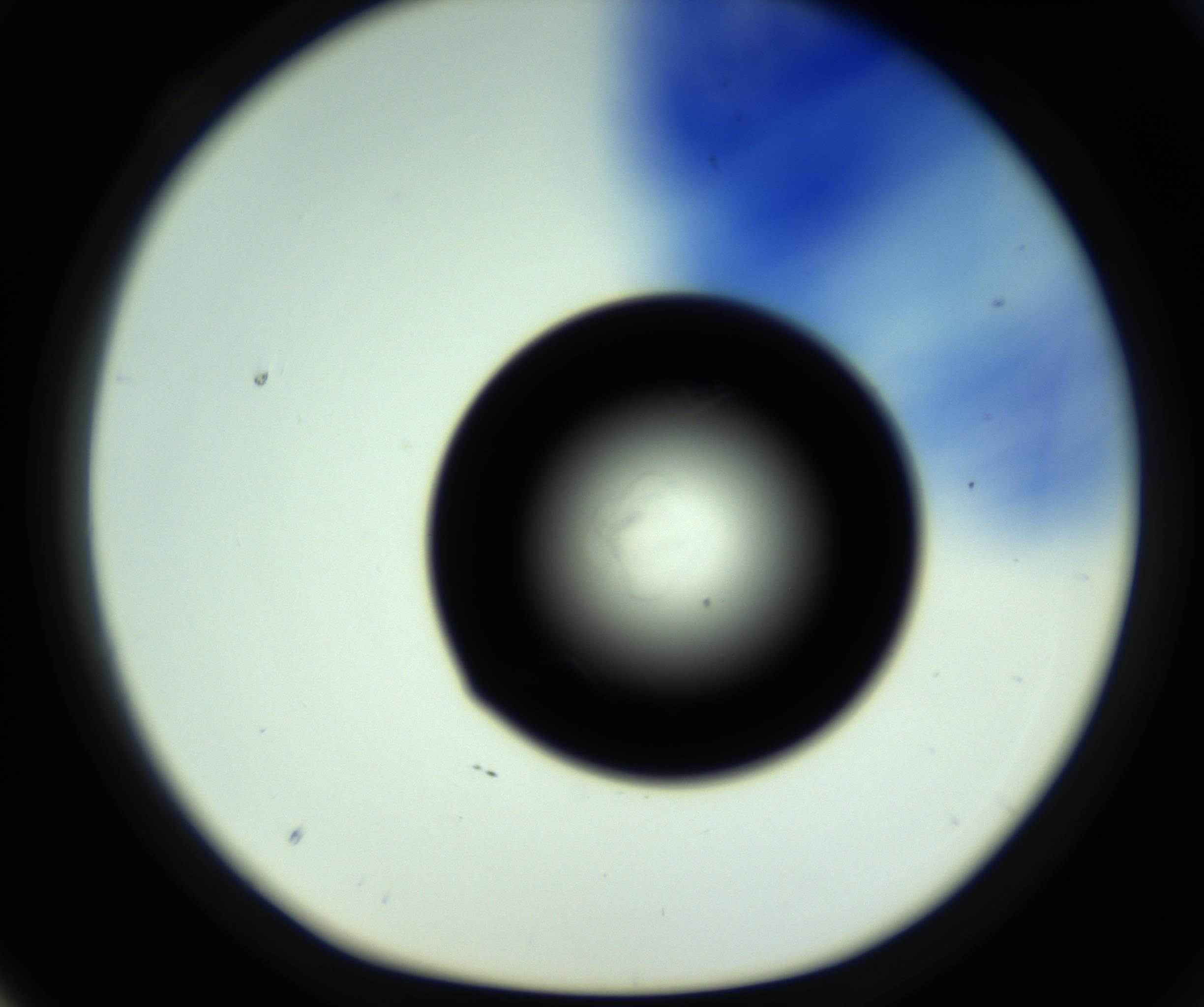 RI01_03_000_0212_Proj1_Clon1_MC_0000MC102717_007_161011_04_03_01_00_98_002_001_RAI.jpg