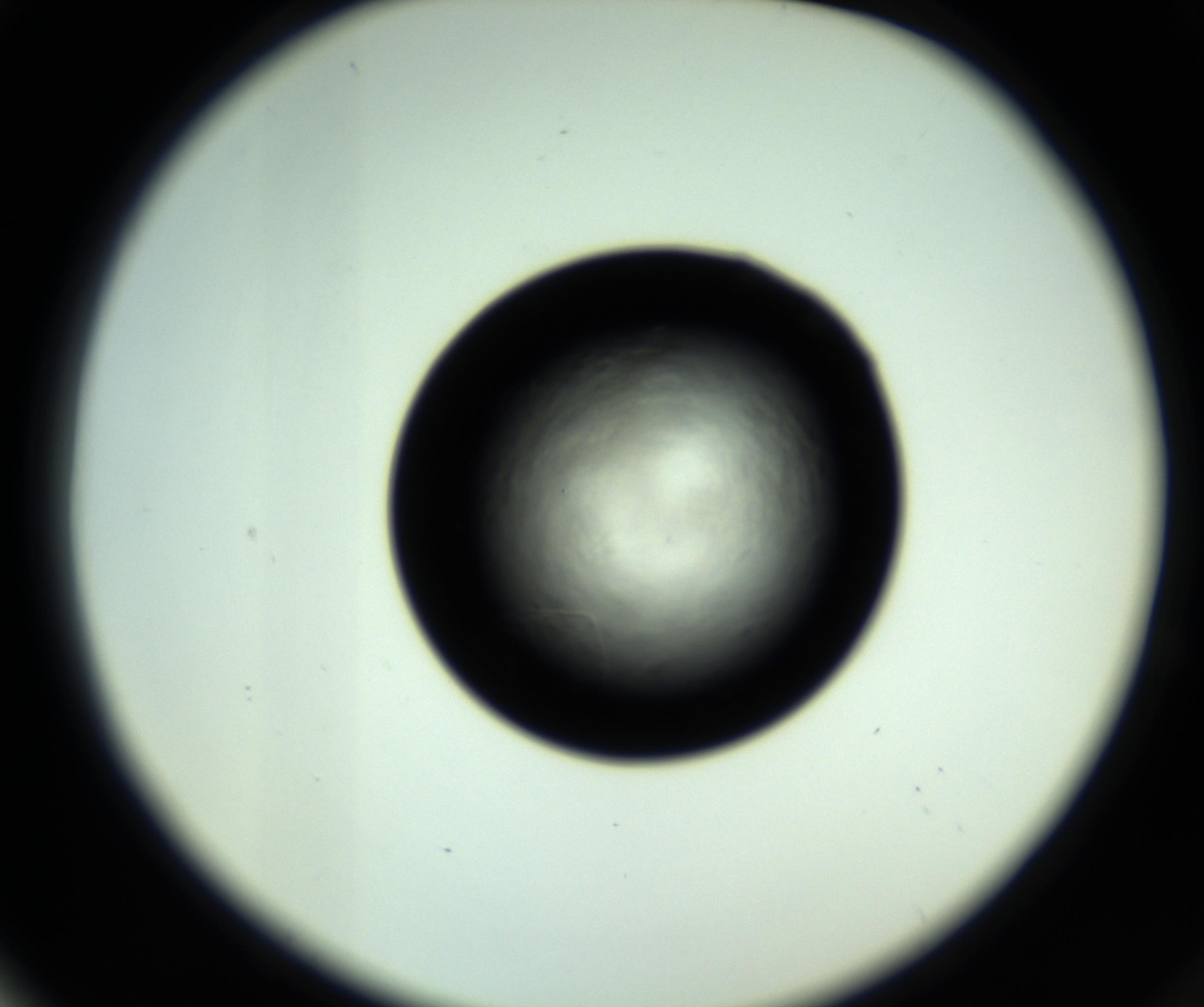 RI01_03_000_0212_Proj1_Clon1_MC_0000MC102717_007_161011_04_06_02_00_98_002_001_RAI.jpg