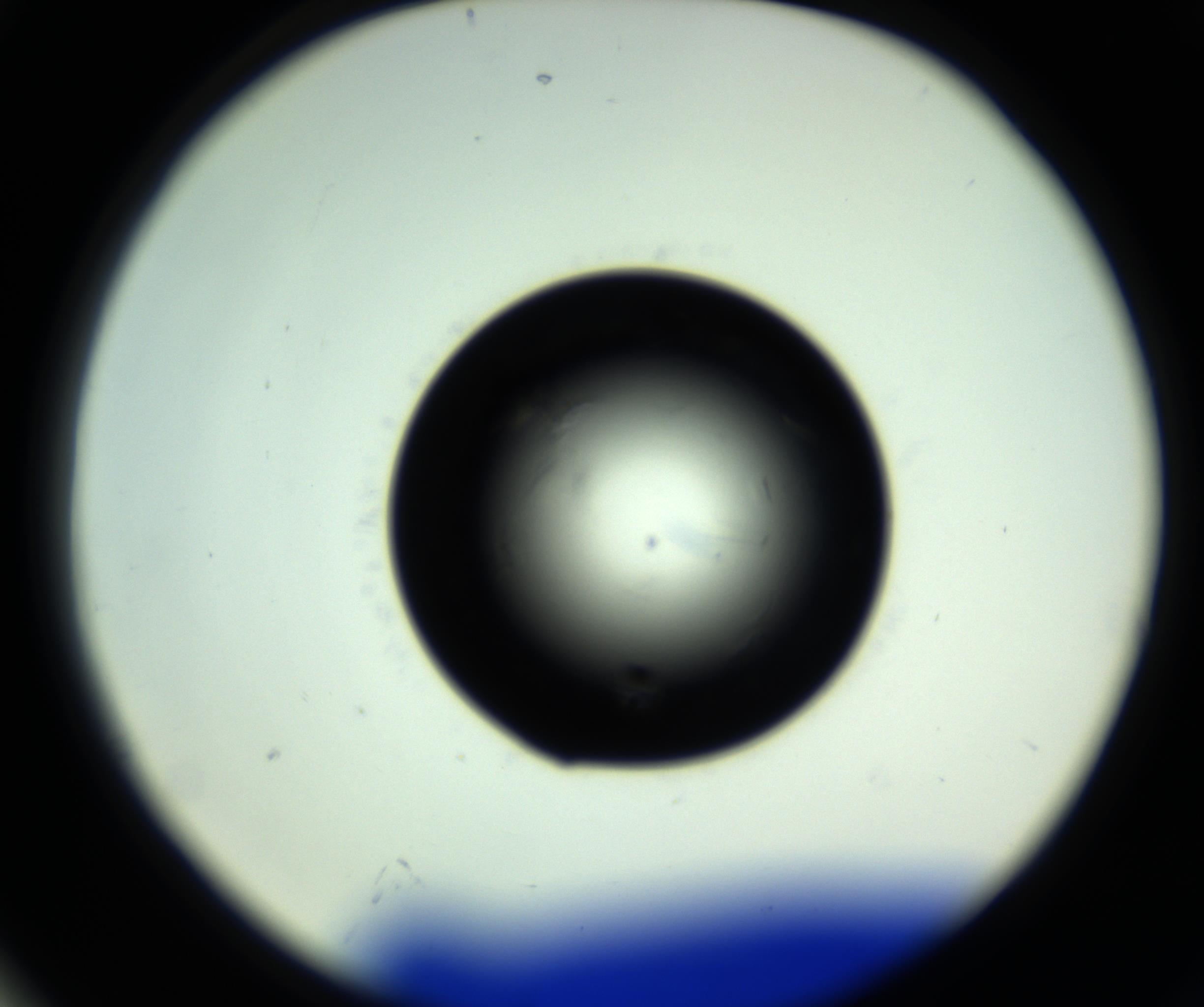 RI01_03_000_0212_Proj1_Clon1_MC_0000MC102717_007_161011_04_07_02_00_98_002_001_RAI.jpg