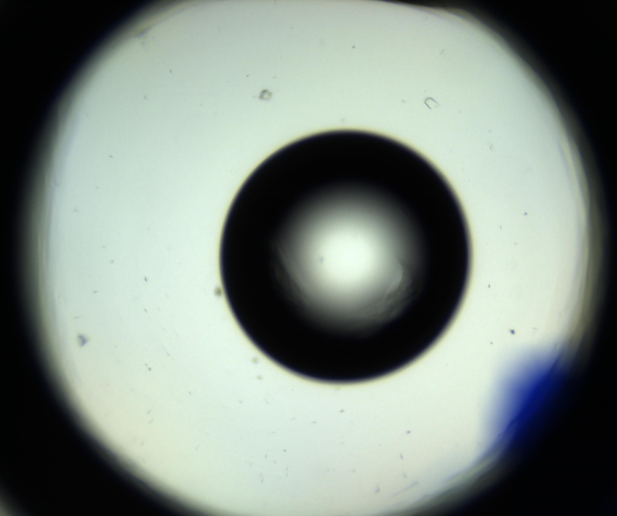 RI01_03_000_0212_Proj1_Clon1_MC_0000MC102717_007_161011_05_06_02_00_98_002_001_RAI.jpg