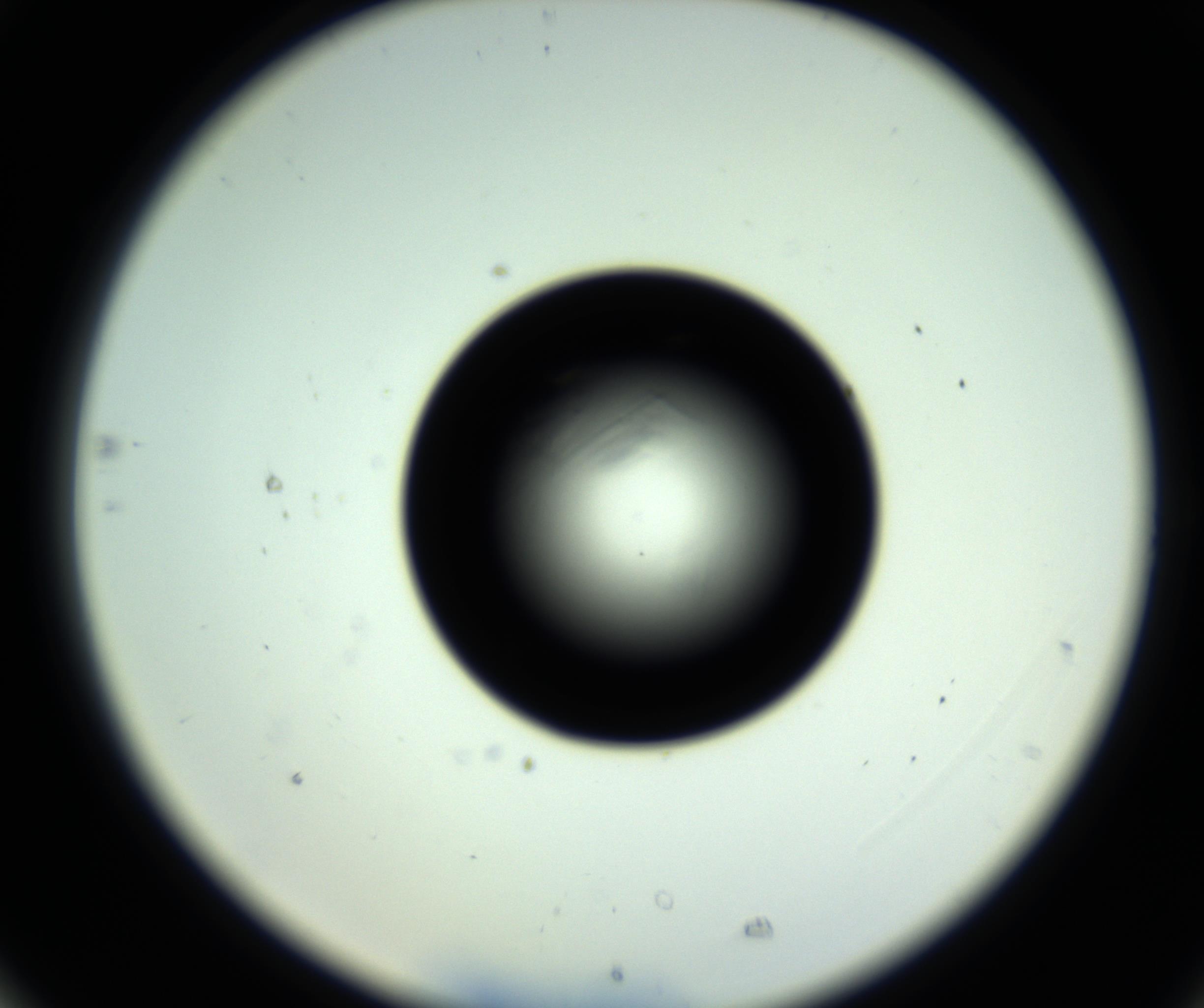 RI01_03_000_0212_Proj1_Clon1_MC_0000MC102717_007_161011_05_07_02_00_98_002_001_RAI.jpg