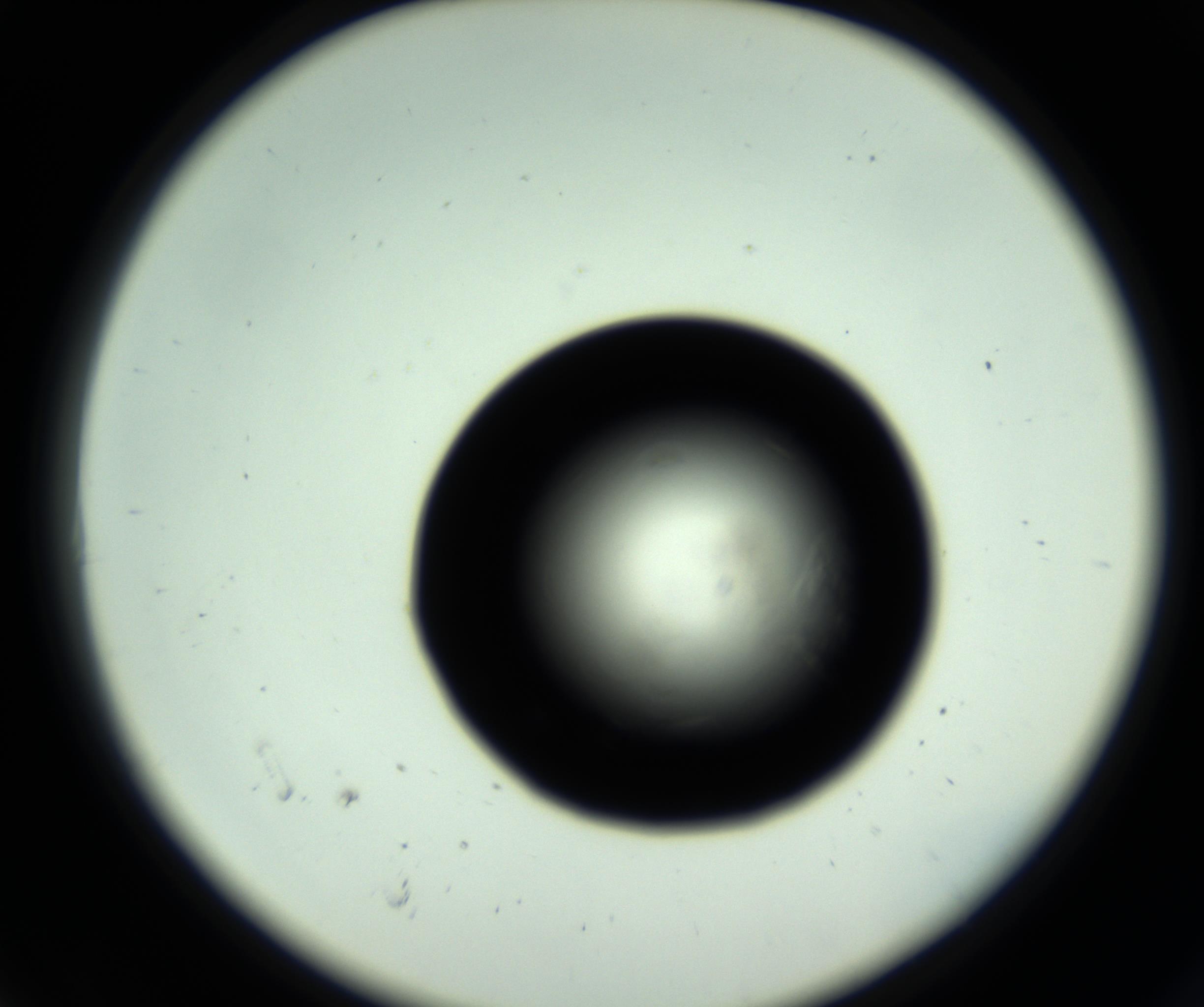 RI01_03_000_0212_Proj1_Clon1_MC_0000MC102717_007_161011_06_01_02_00_98_002_001_RAI.jpg