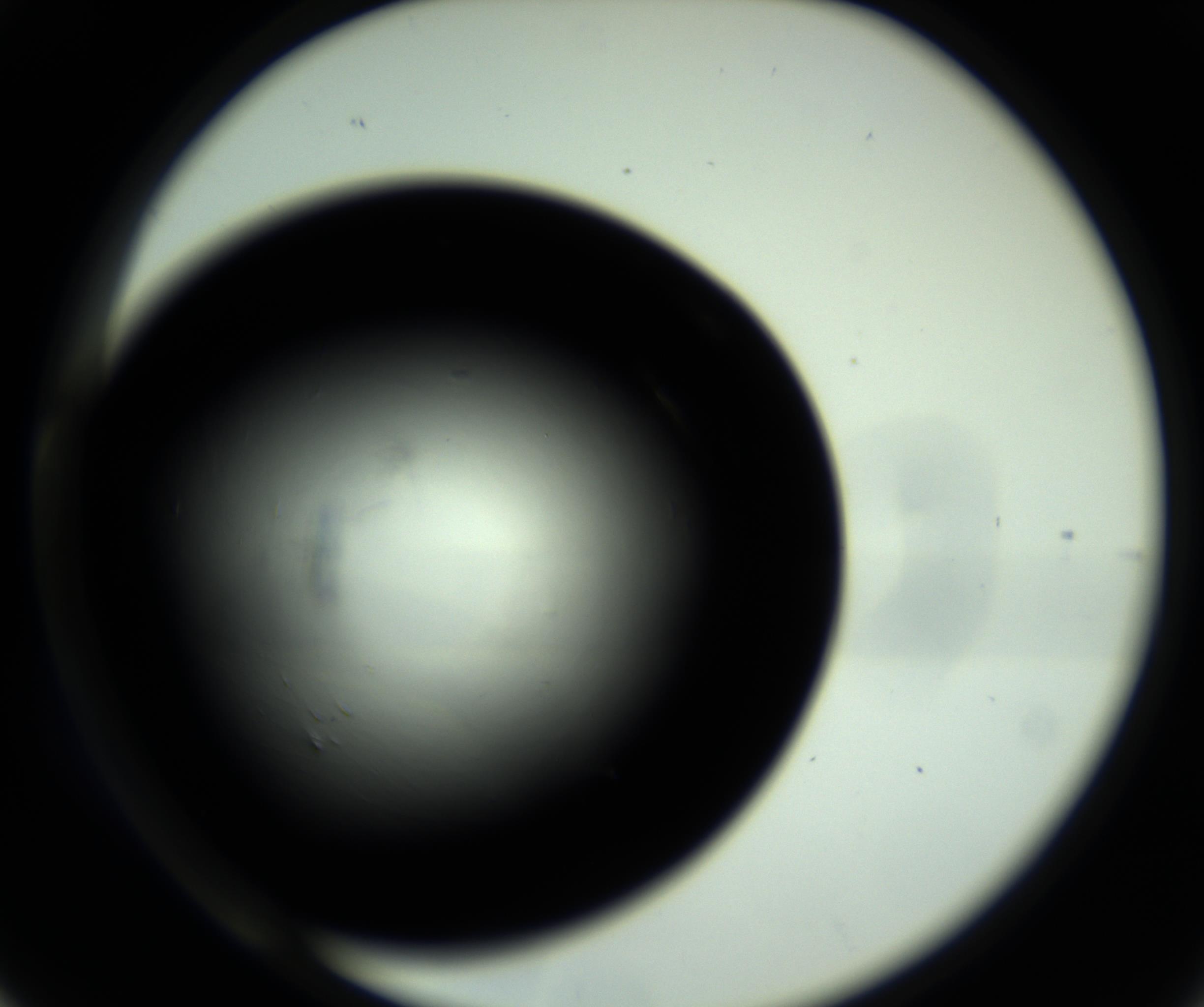 RI01_03_000_0212_Proj1_Clon1_MC_0000MC102717_007_161011_06_03_02_00_98_002_001_RAI.jpg