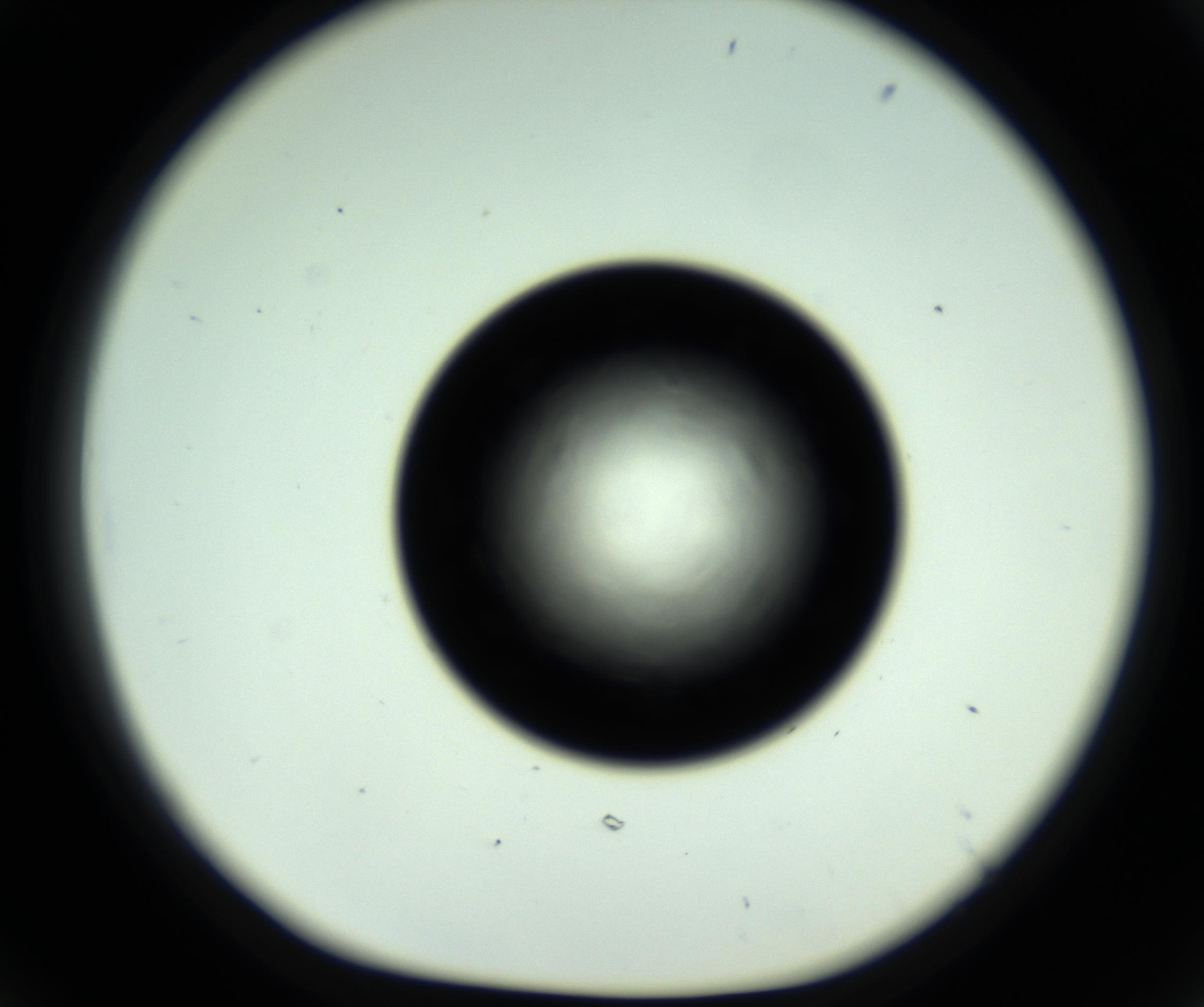 RI01_03_000_0212_Proj1_Clon1_MC_0000MC102717_007_161011_06_05_01_00_98_002_001_RAI.jpg