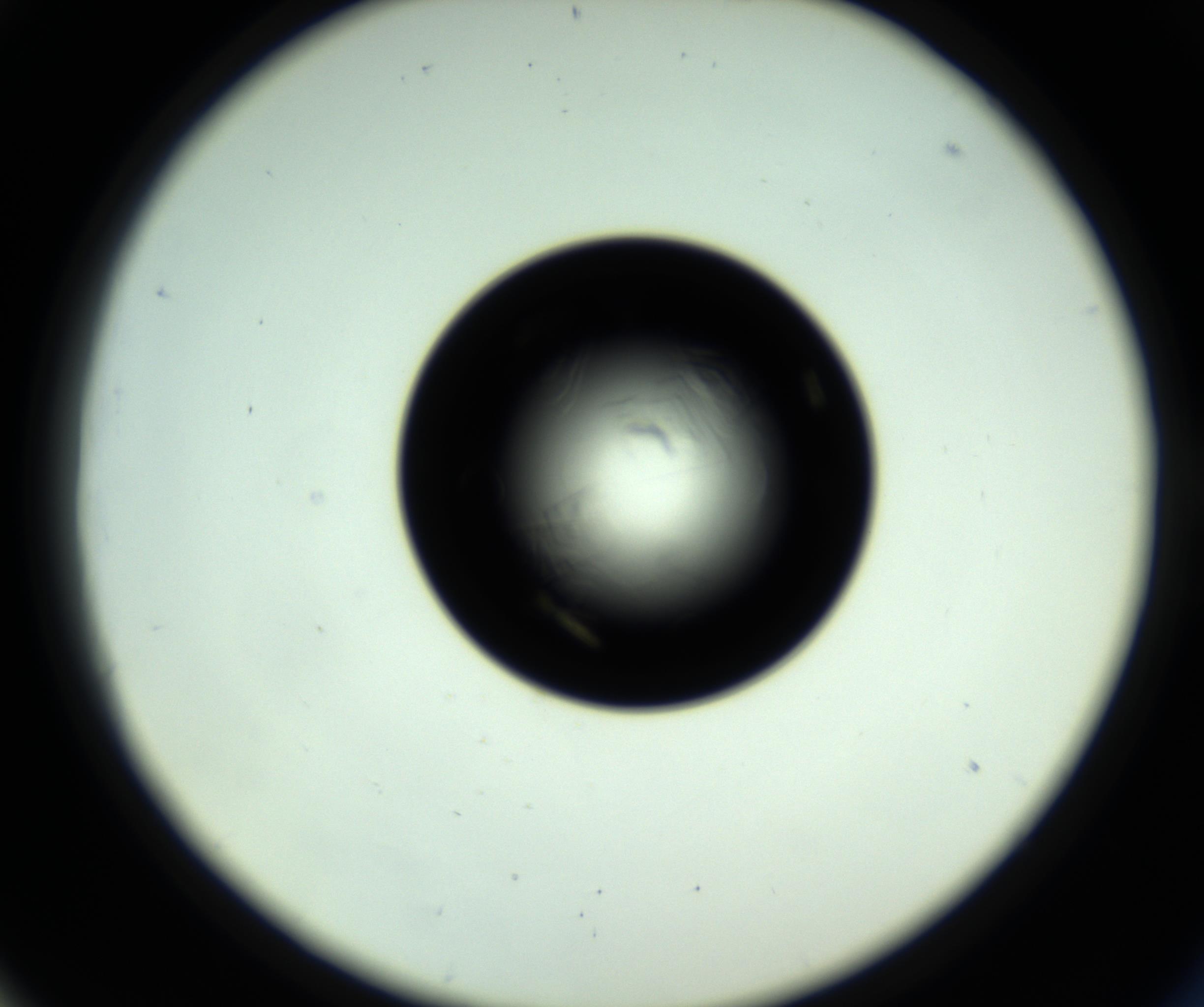 RI01_03_000_0212_Proj1_Clon1_MC_0000MC102717_007_161011_06_05_02_00_98_002_001_RAI.jpg