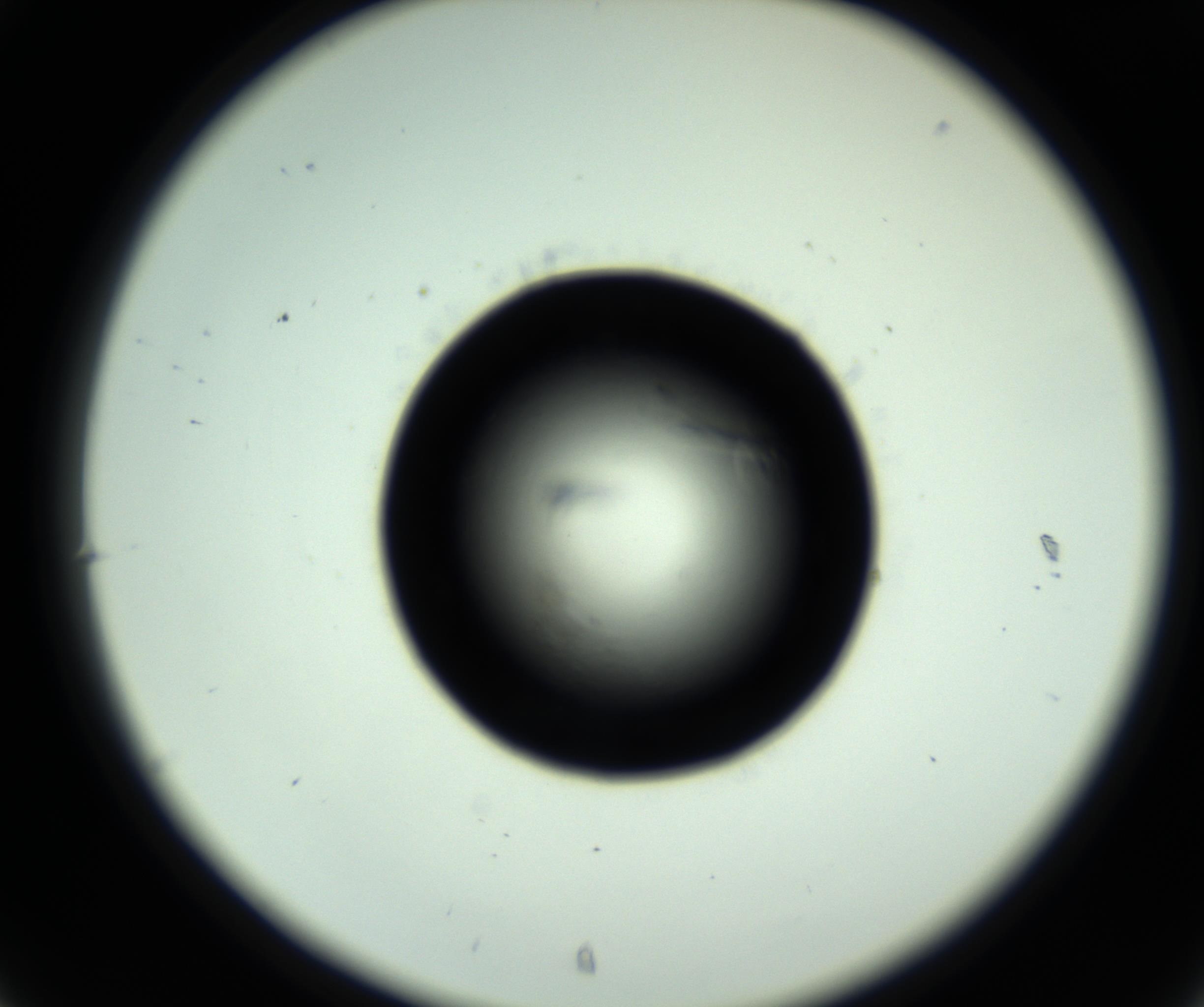 RI01_03_000_0212_Proj1_Clon1_MC_0000MC102717_007_161011_07_03_02_00_98_002_001_RAI.jpg