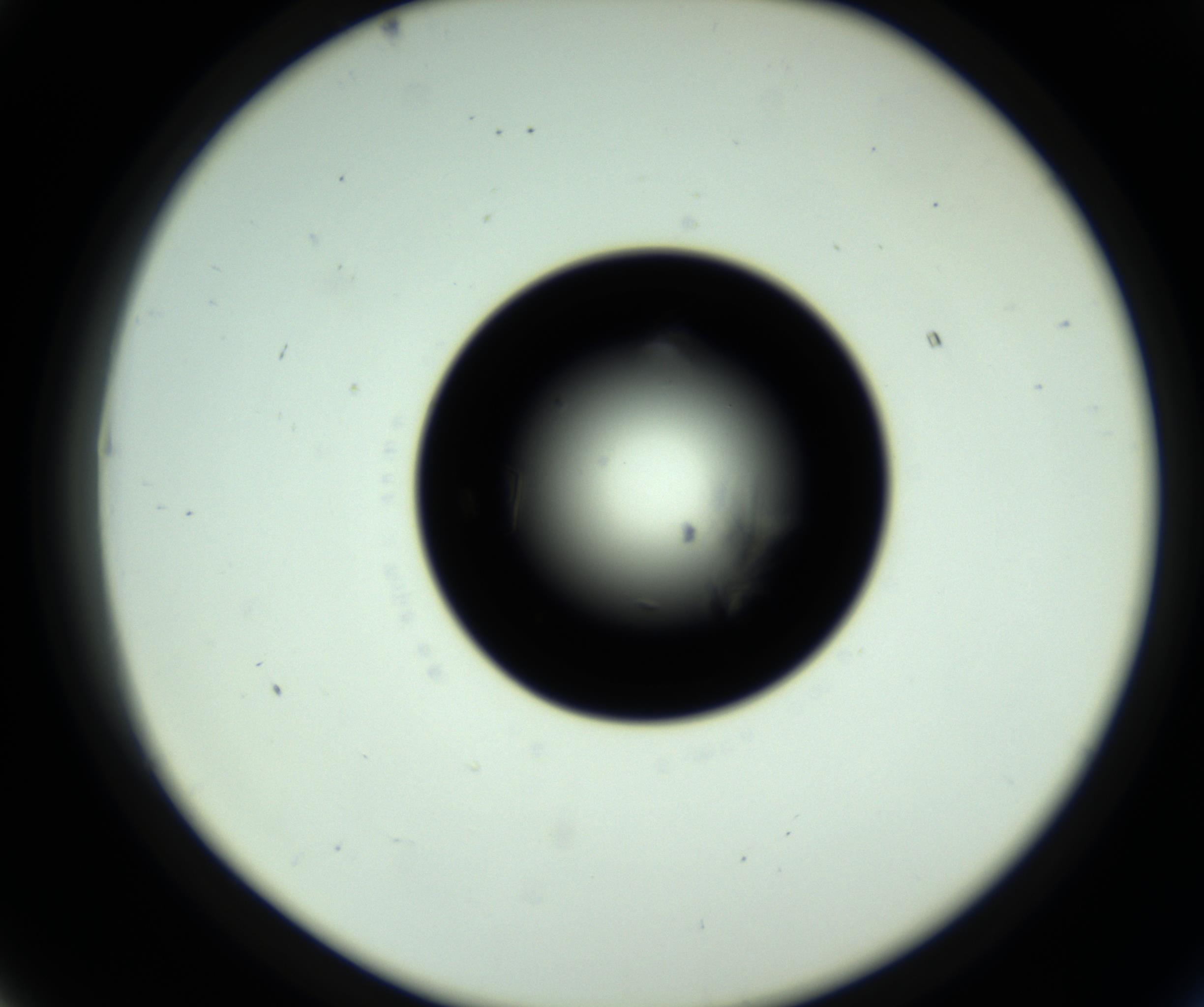 RI01_03_000_0212_Proj1_Clon1_MC_0000MC102717_007_161011_07_04_02_00_98_002_001_RAI.jpg