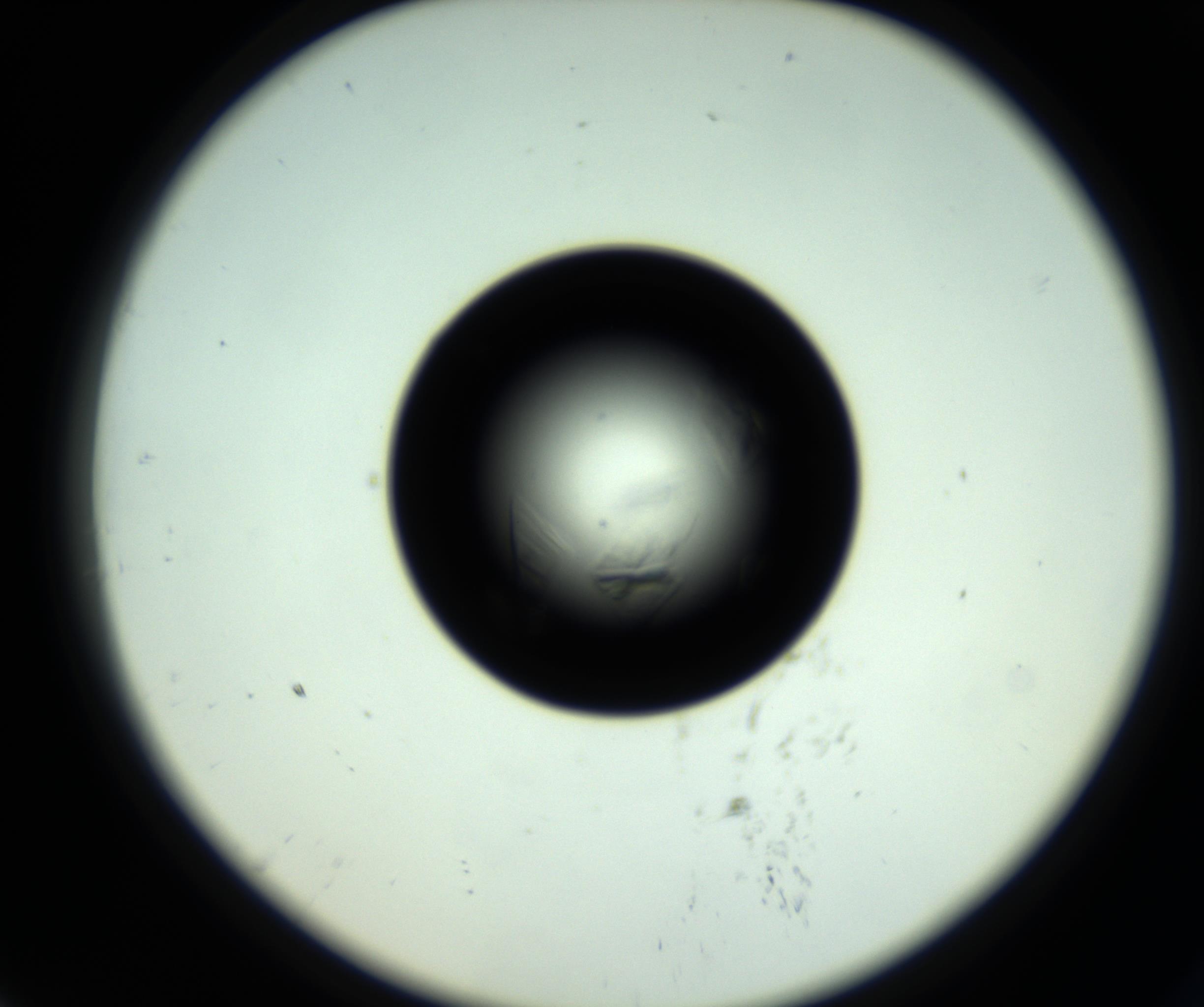 RI01_03_000_0212_Proj1_Clon1_MC_0000MC102717_007_161011_07_07_02_00_98_002_001_RAI.jpg