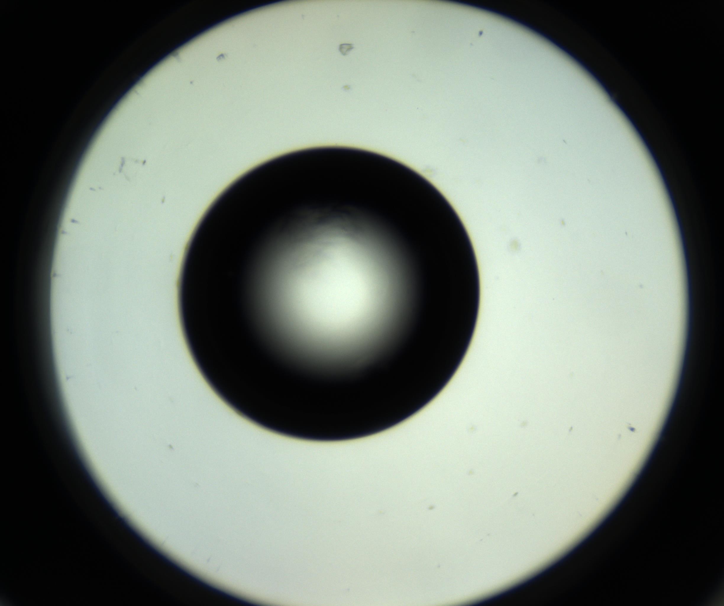 RI01_03_000_0212_Proj1_Clon1_MC_0000MC102717_007_161011_08_08_02_00_98_002_001_RAI.jpg