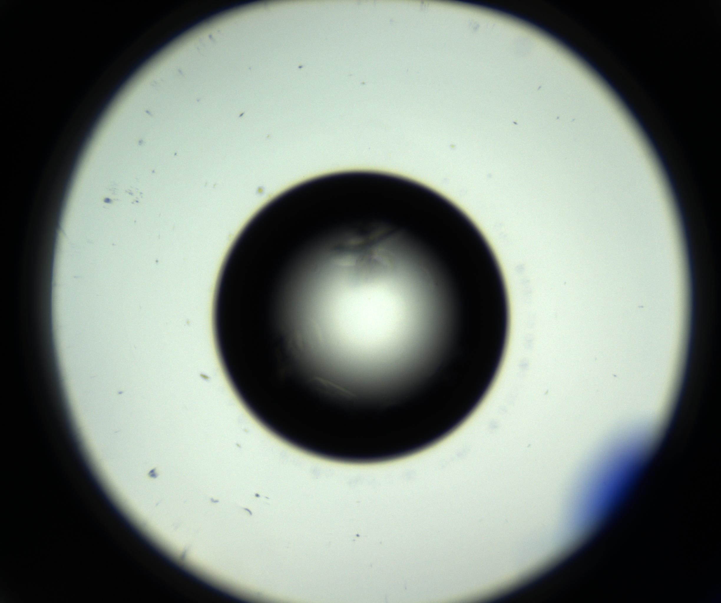 RI01_03_000_0212_Proj1_Clon1_MC_0000MC102717_007_161011_09_01_02_00_98_002_001_RAI.jpg