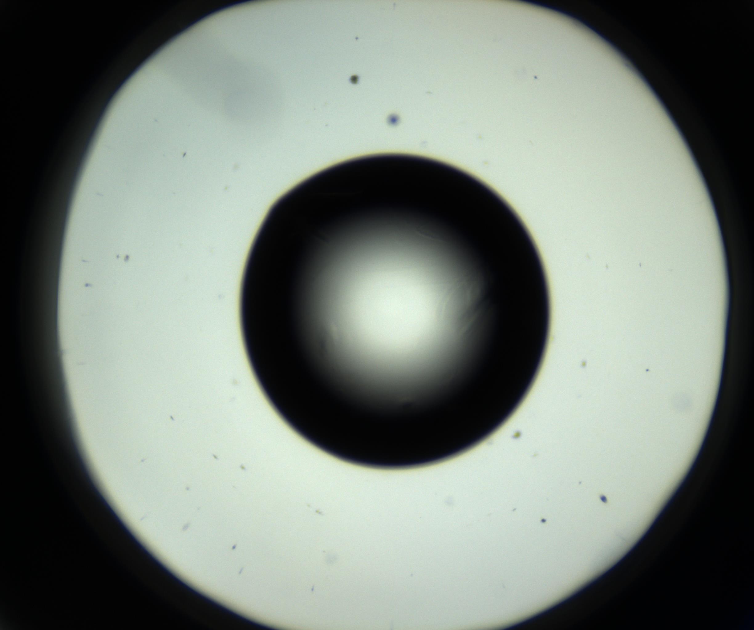 RI01_03_000_0212_Proj1_Clon1_MC_0000MC102717_007_161011_09_03_02_00_98_002_001_RAI.jpg