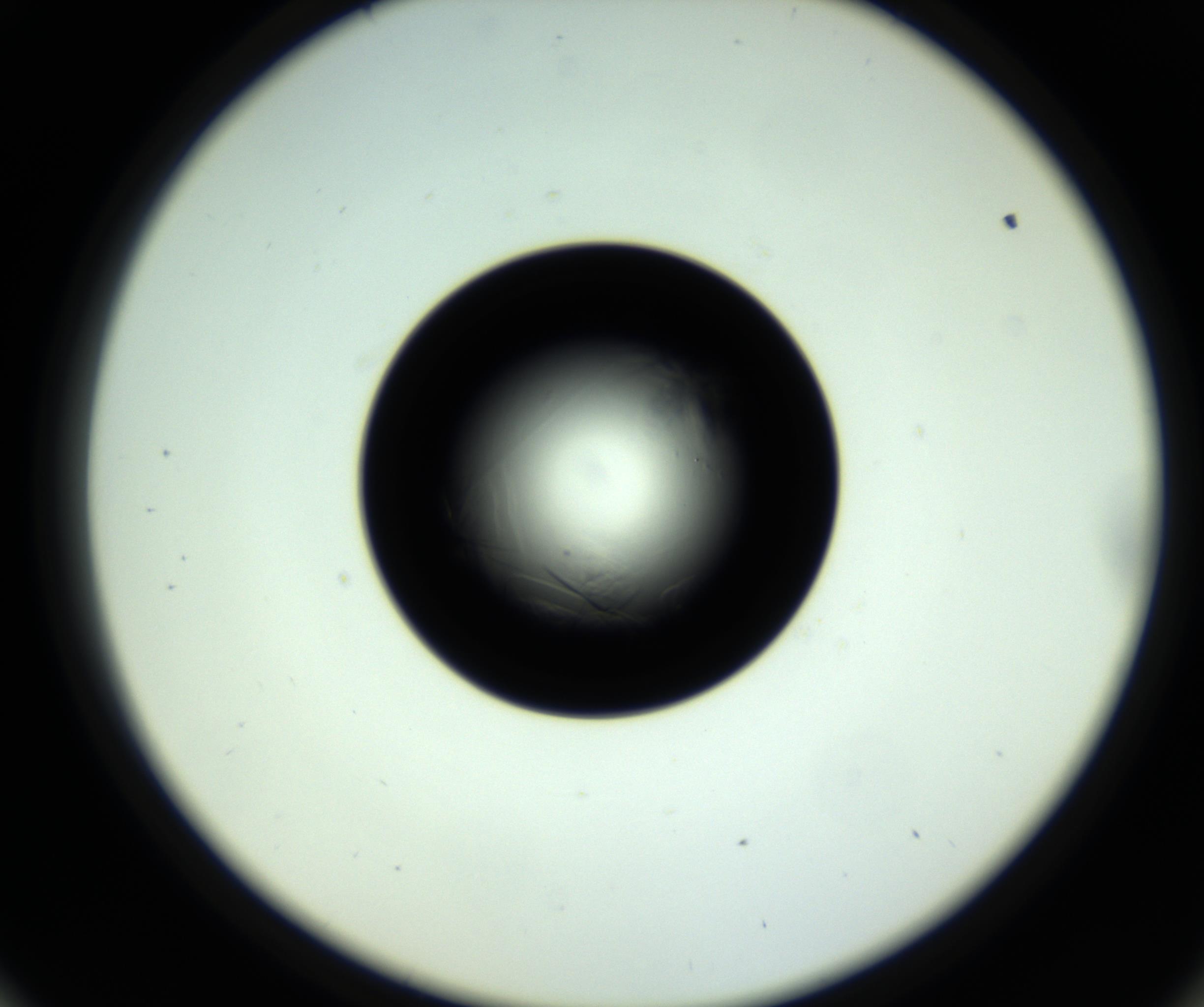 RI01_03_000_0212_Proj1_Clon1_MC_0000MC102717_007_161011_09_05_02_00_98_002_001_RAI.jpg